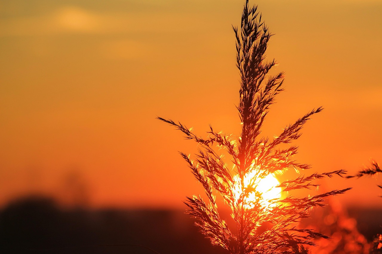 衡水县处级人事任免最新动态及调整通知