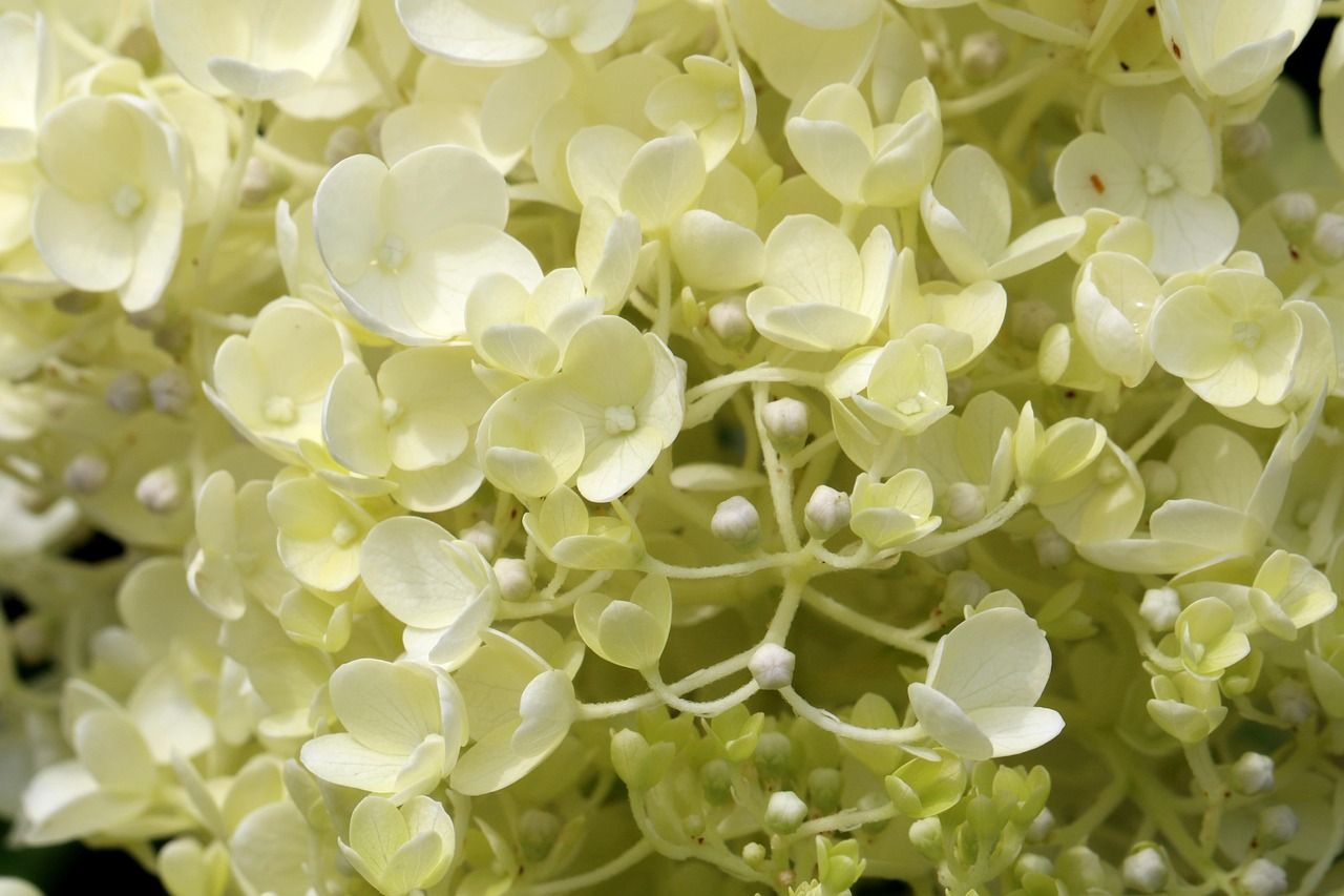 恩吉铁路最新进展、挑战及未来展望动态更新