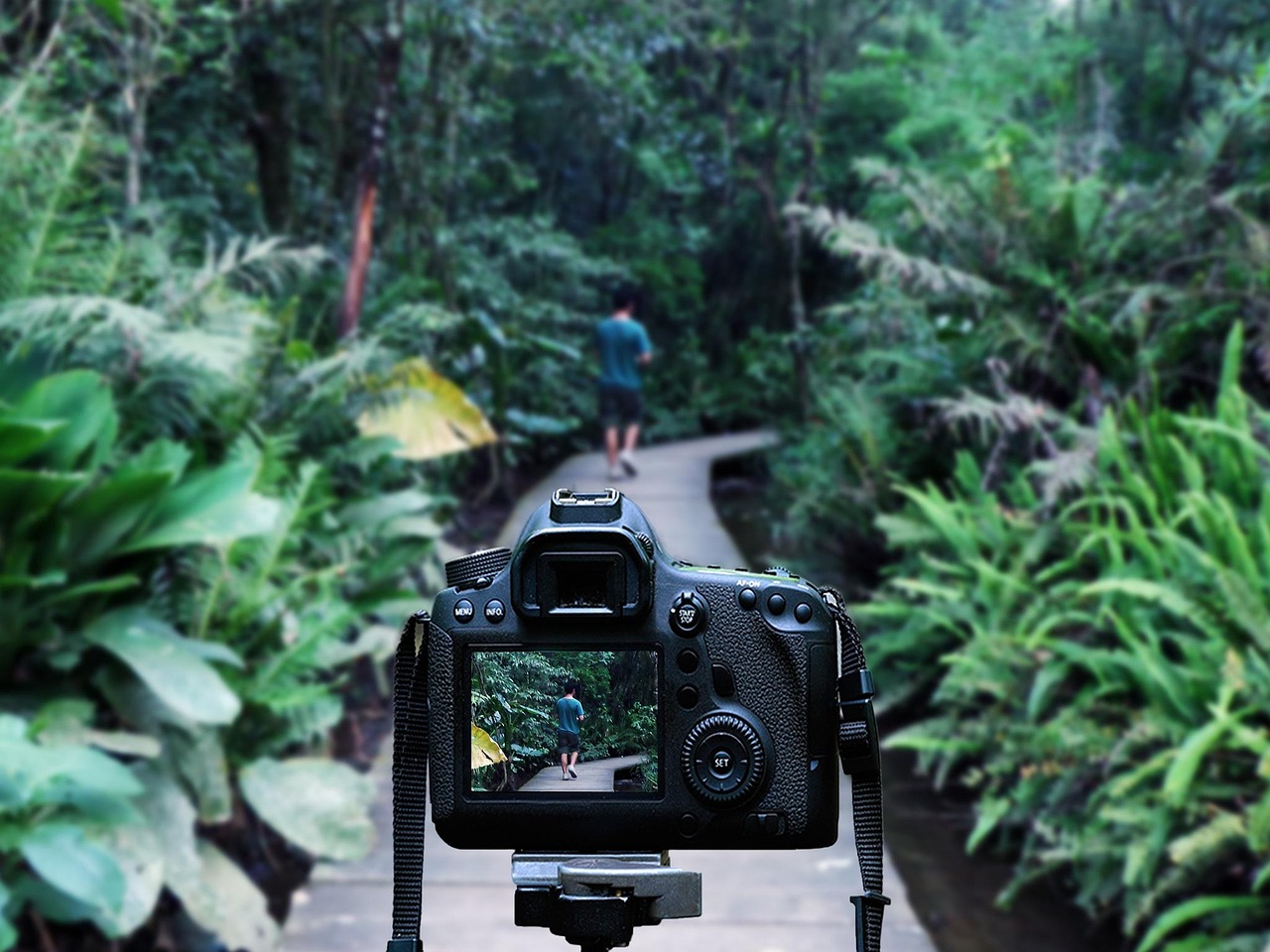 邓紫棋近期动态，开启音乐之旅新篇章