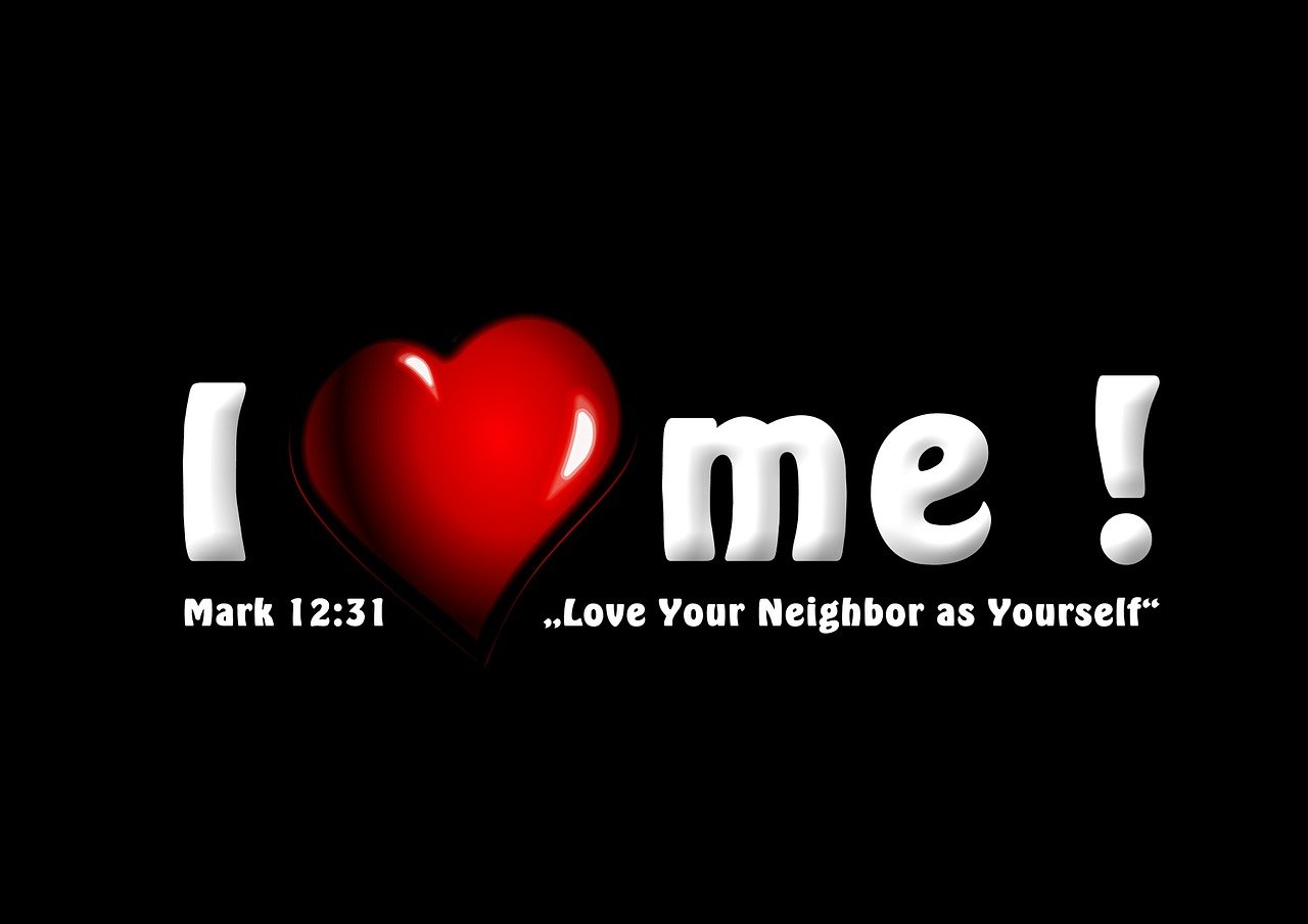 词酷新版发布，重新定义词汇学习体验