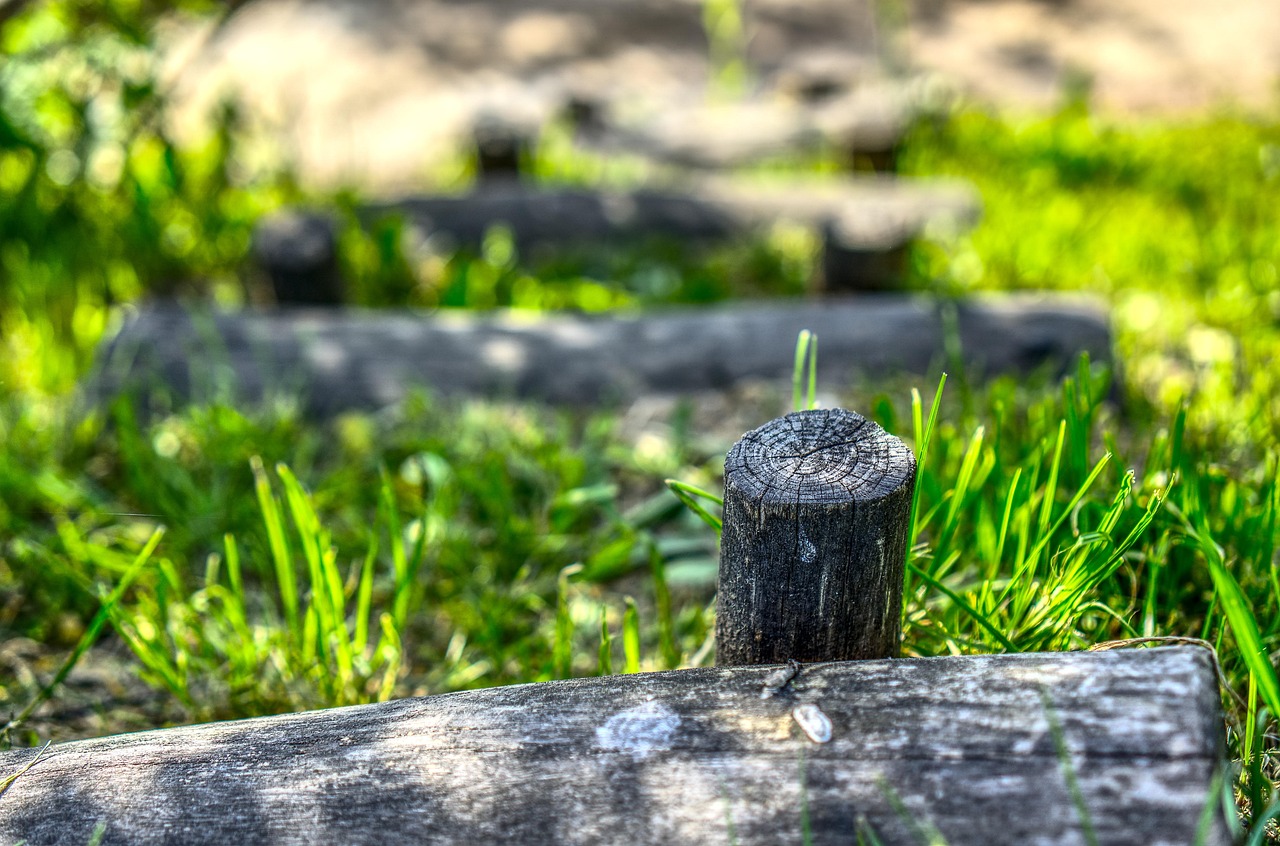 林俊杰音乐之旅新篇章,最新动态揭秘