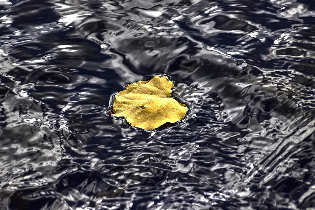 梓潼最新职位招聘动态发布