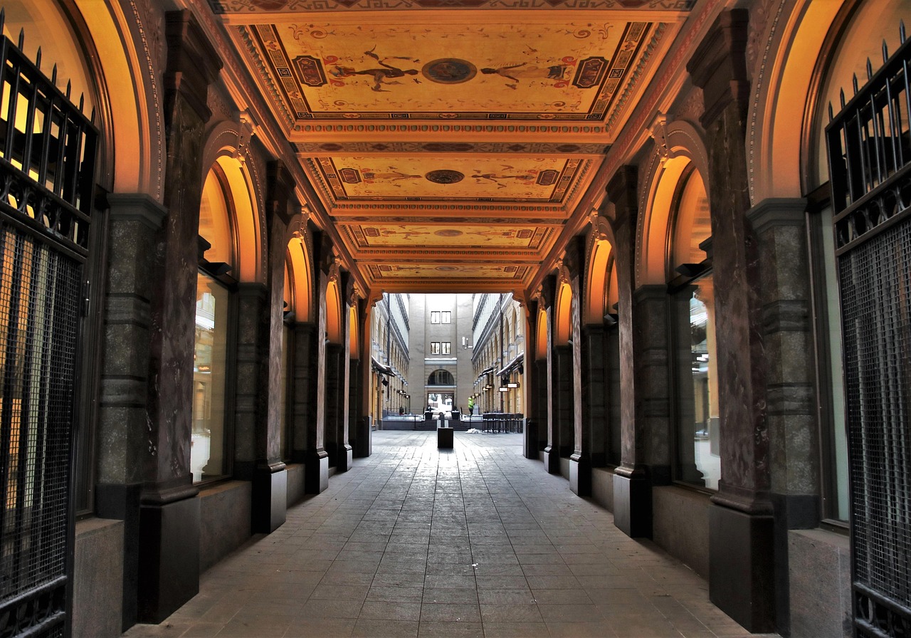 最新高考历史动态揭秘，变革与未来趋势的探索