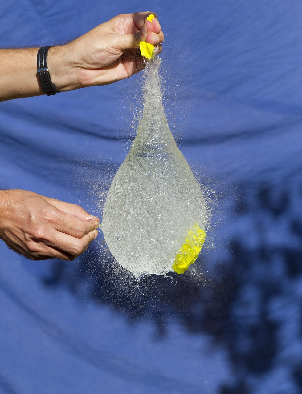 张北县最新职位招聘动态及其影响概览