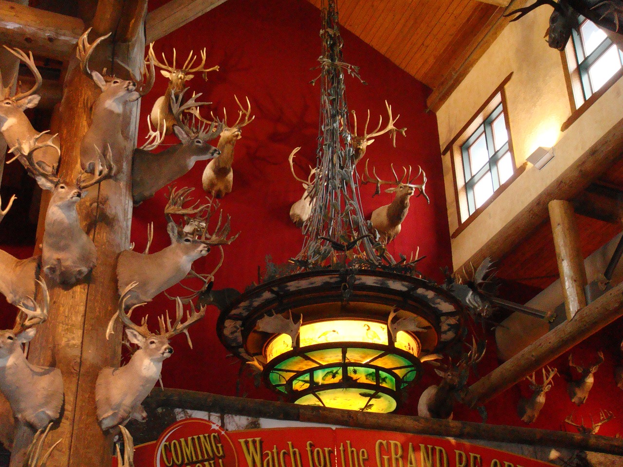 时空猎人360版最新更新下载，开启游戏体验新篇章