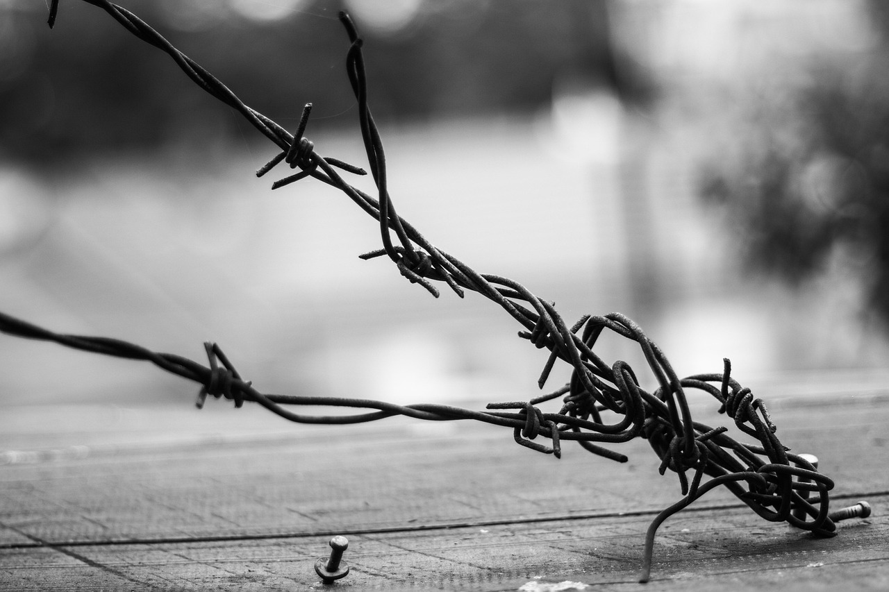 詹姆斯吉拉宇最新力作，探索未知的艺术边界之旅