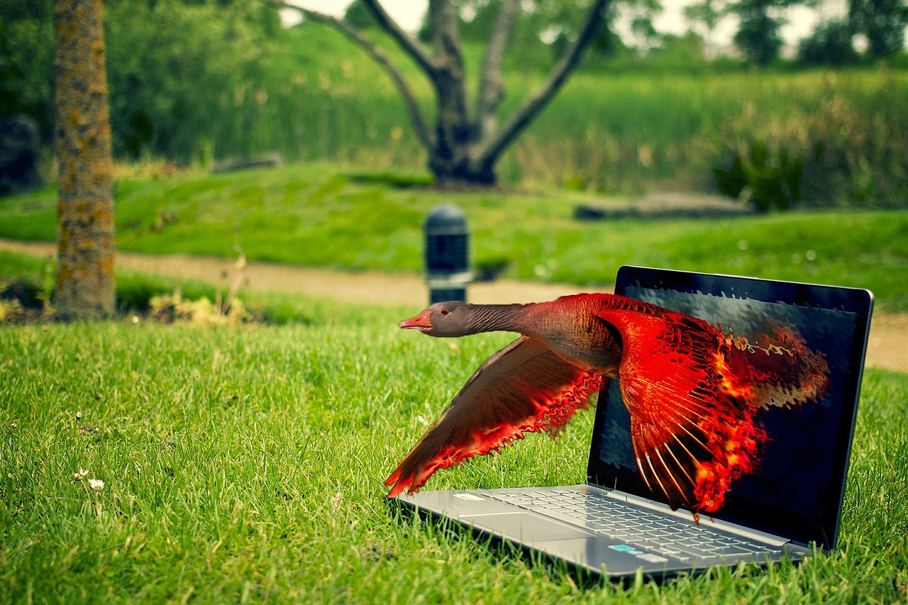 最新热门草原歌曲大盘点，草原音乐的魅力与流行趋势