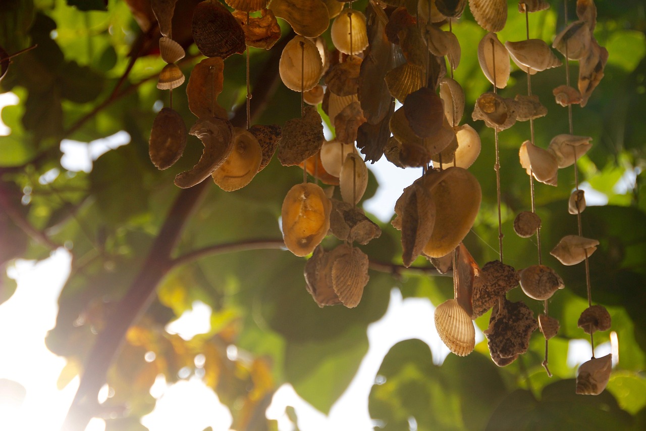 李瑞镇与崔智友的最新动态，演艺之路的璀璨闪耀之旅