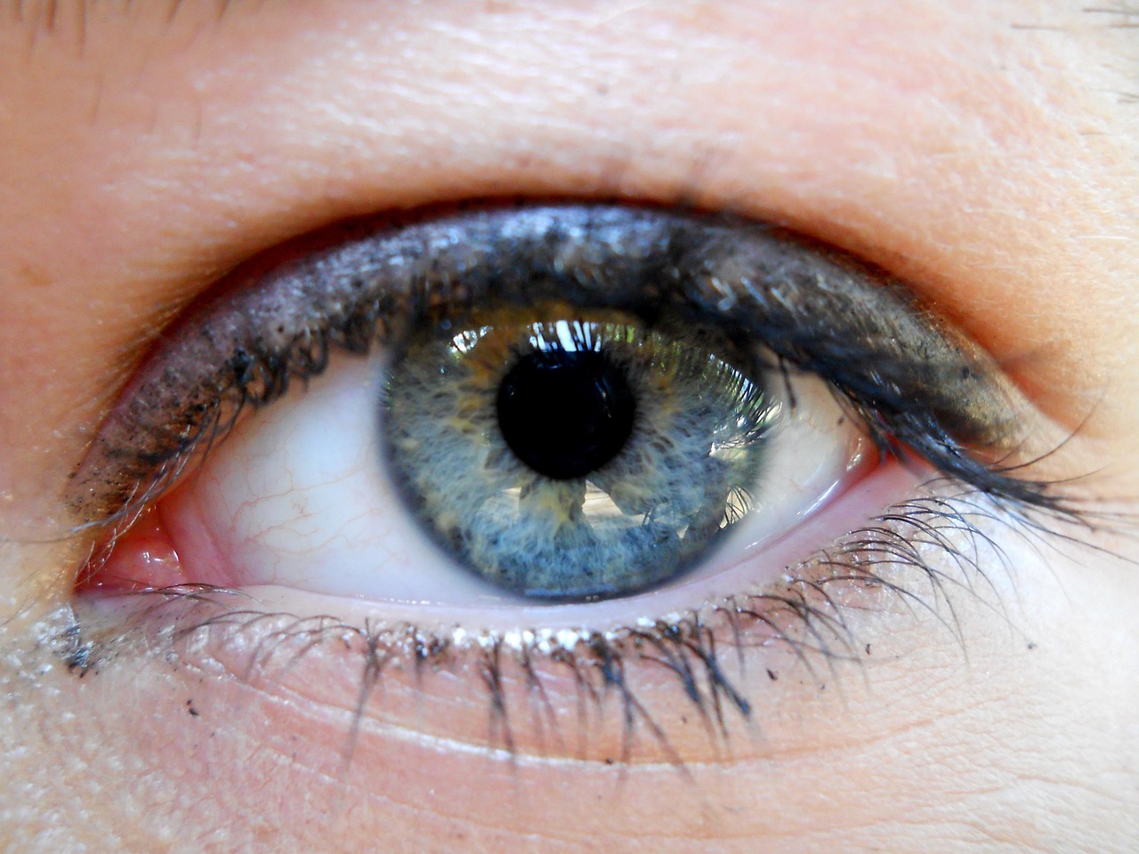 最新琥珀，神秘魅力与独特价值的探索