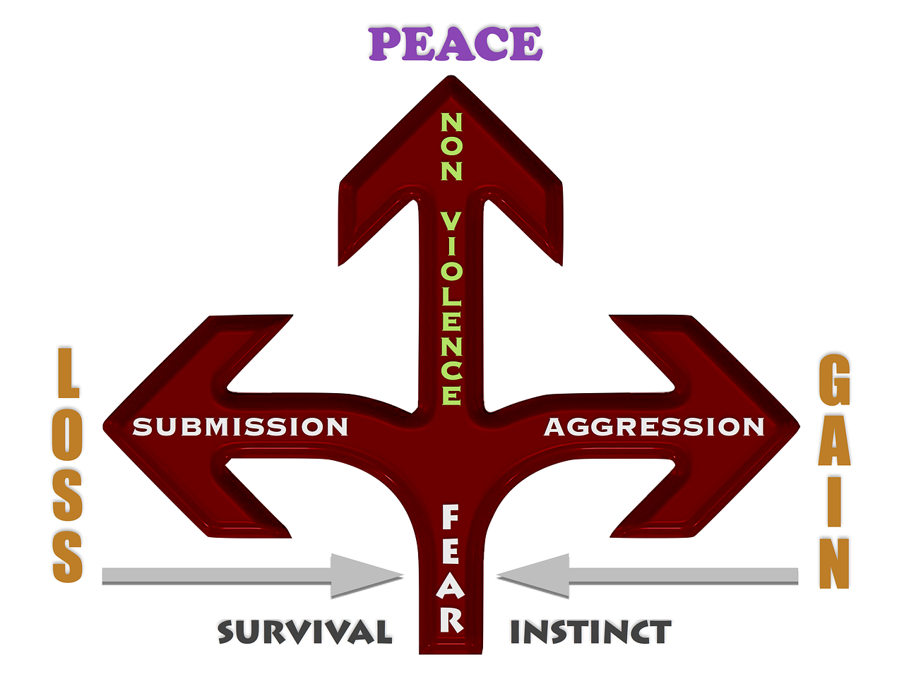 探索未知领域的魅力与影响，最新视频趋势展望（2016年）