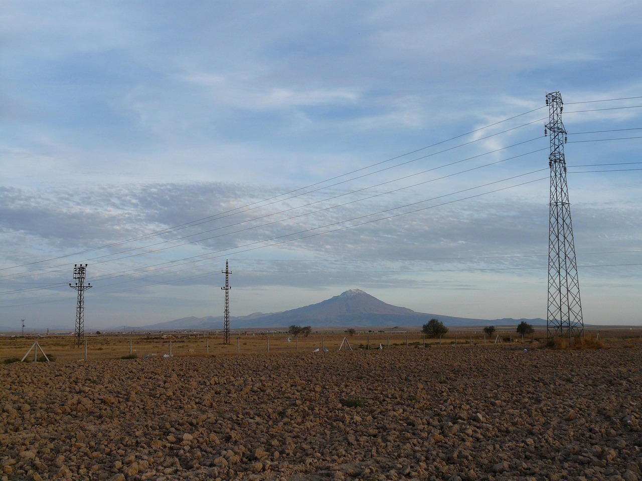 张本智和持续闪耀乒乓球坛，最新动态与成就瞩目