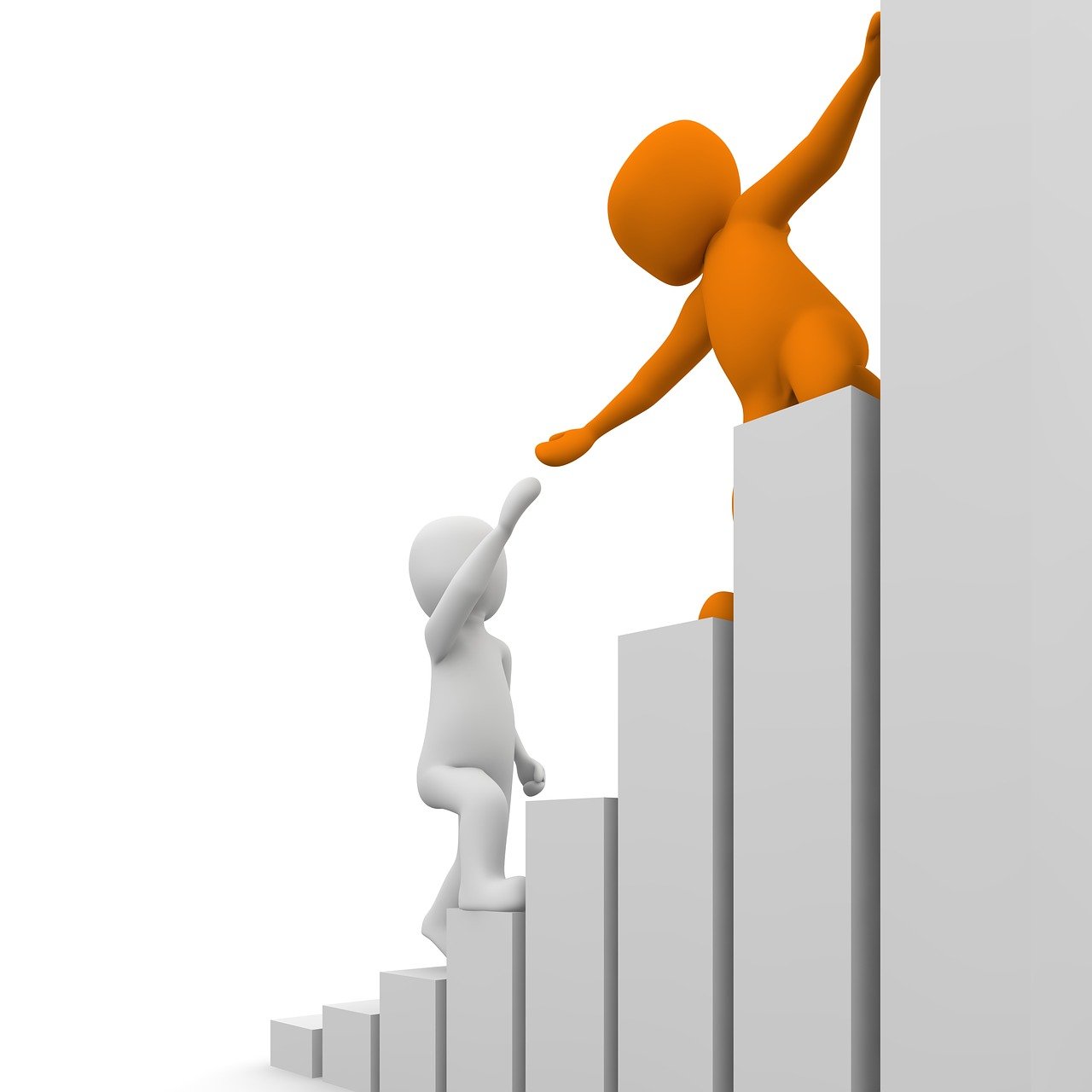 深度解析，股票002565的投资洞察与策略