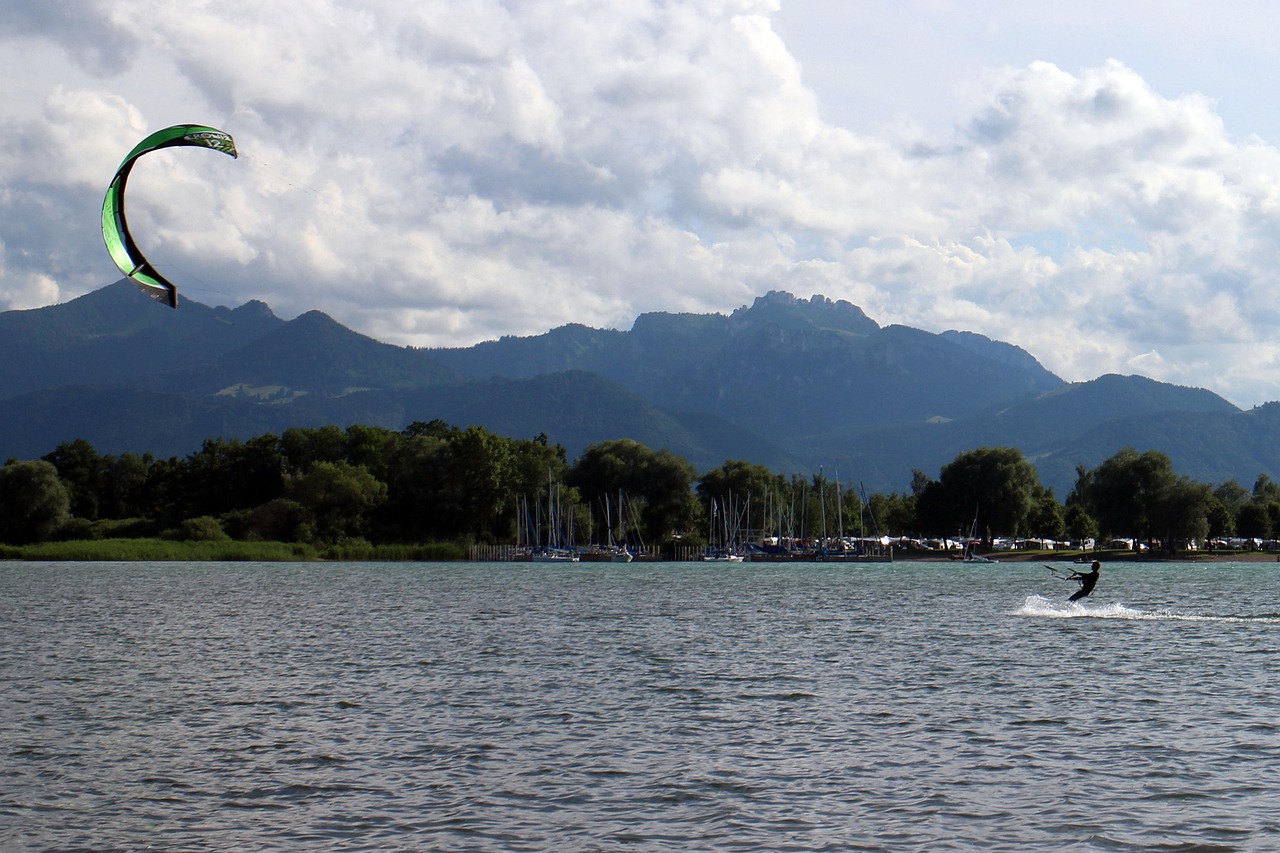 万科御澜道最新房价动态及趋势分析