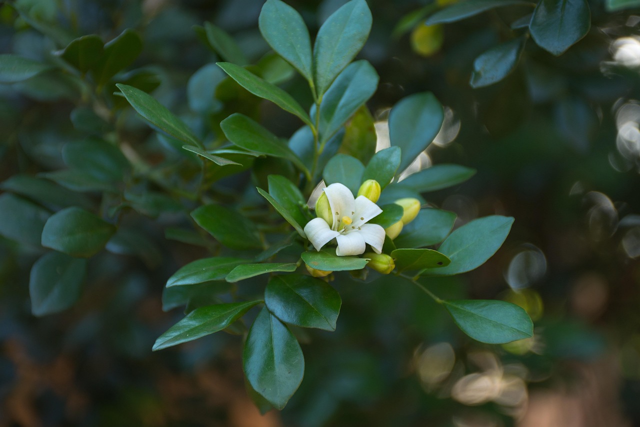 钱宝网迈向未来的步伐与策略调整,最新动态观察报告(2018年)