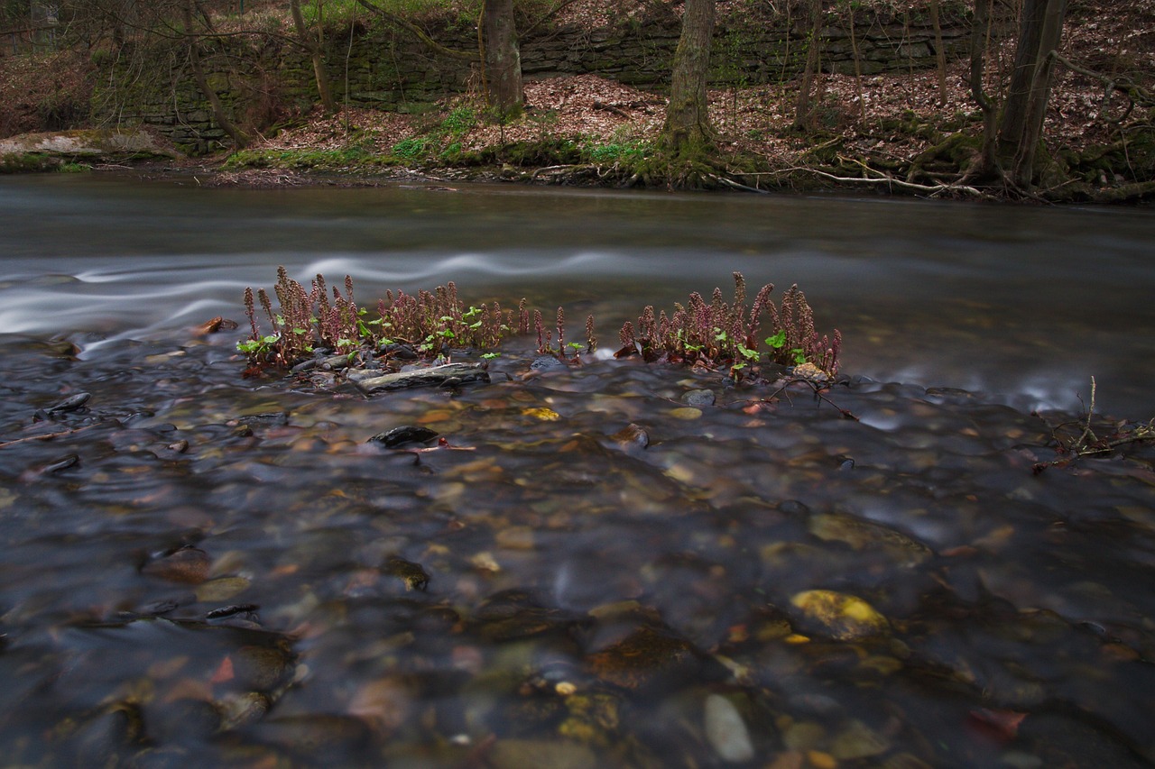 清欢渡劫 第12页
