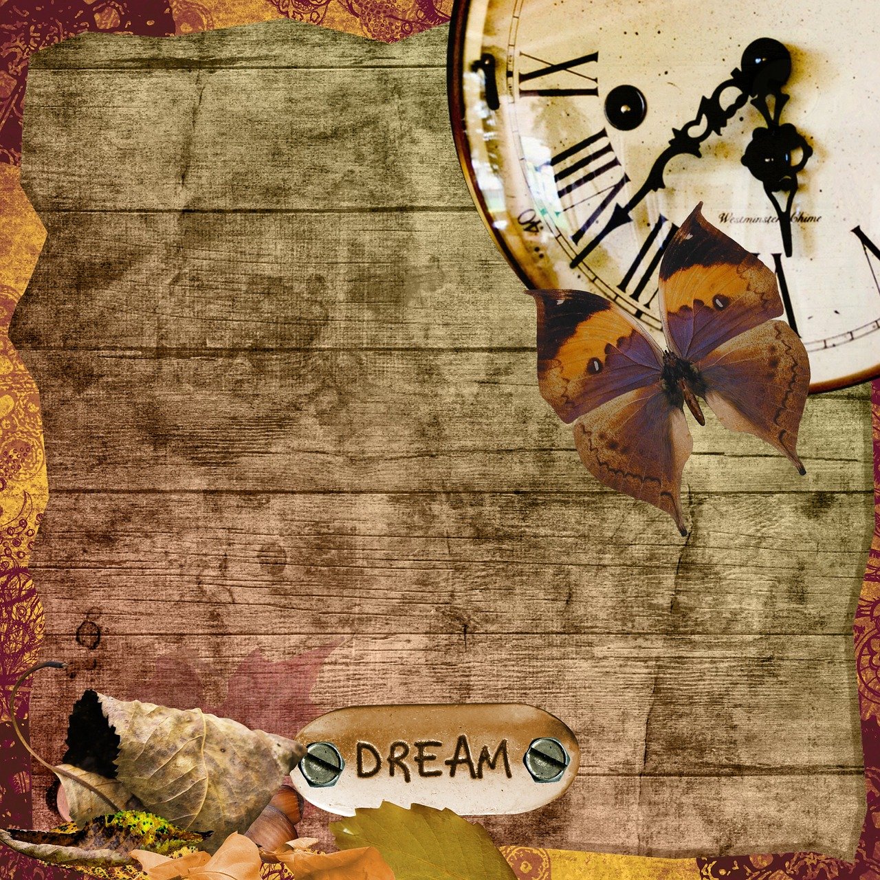 梦见大明星，星光之梦，梦境之旅的璀璨遨游