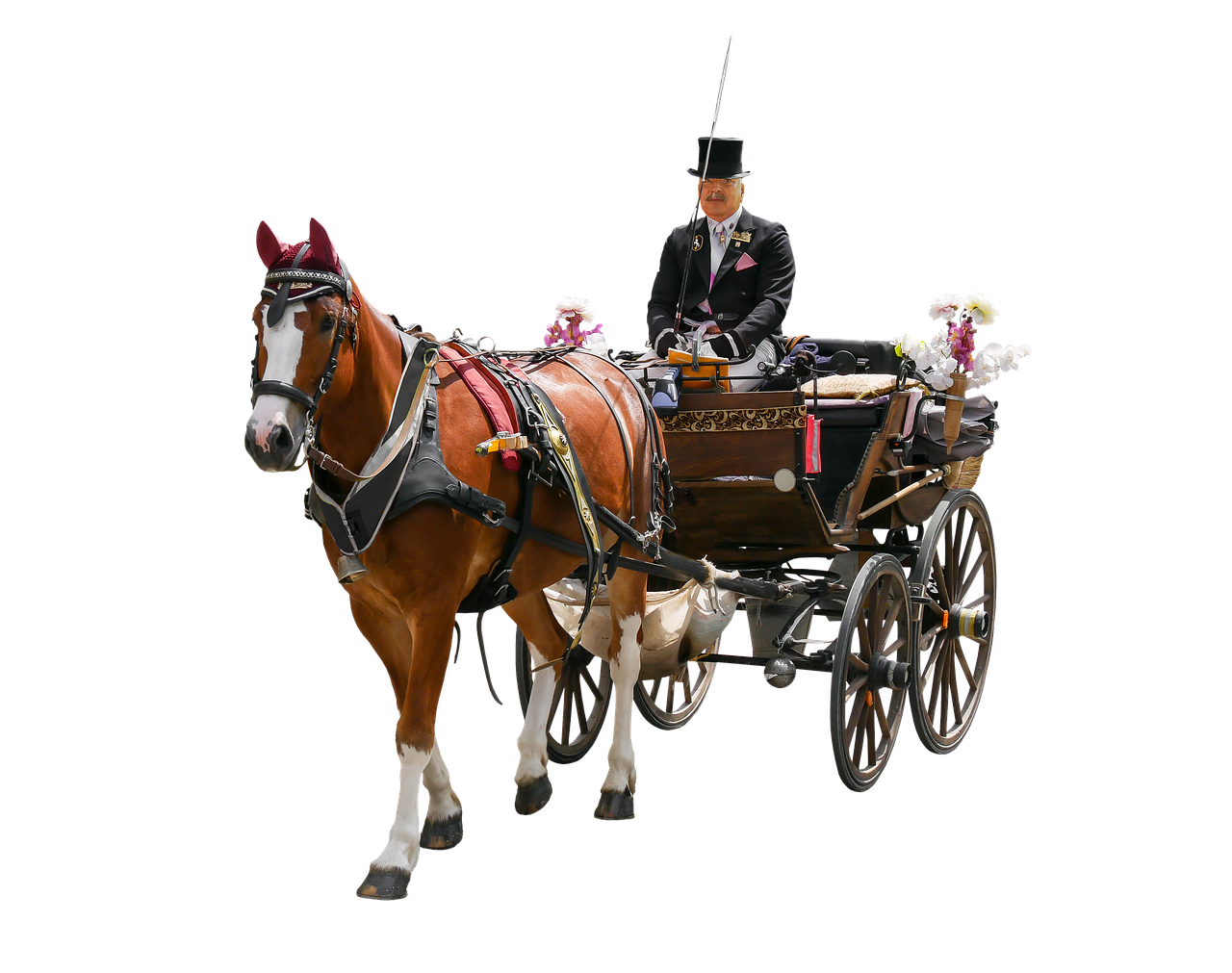 告别从前 第13页