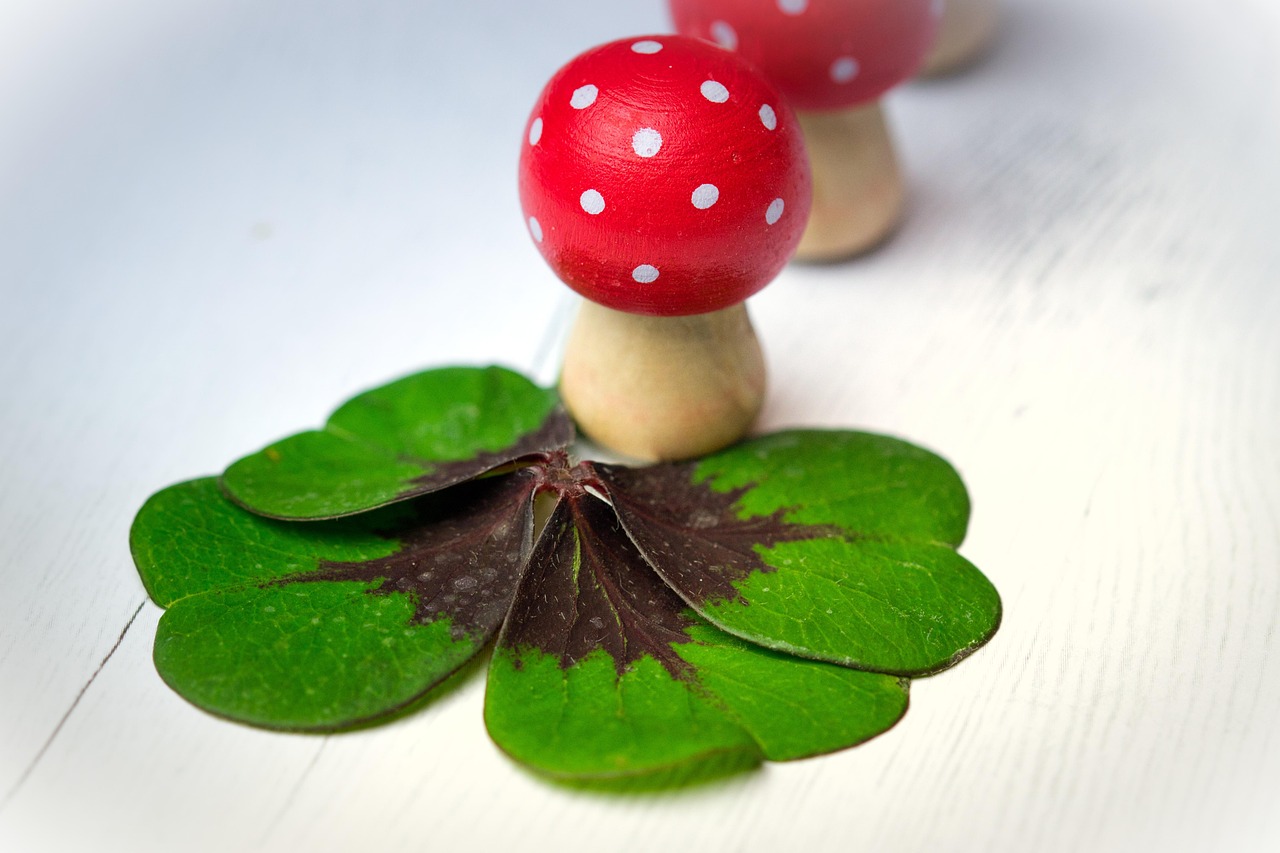 最新果树品种推荐，探索未来农业的新选择