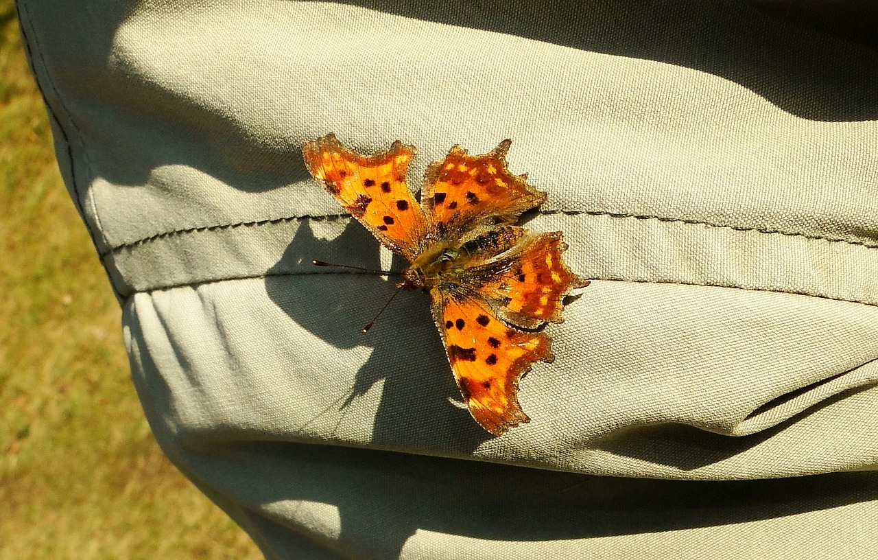 解析2017年服装行业趋势与市场行情展望，时尚潮流与市场动态的交融共生