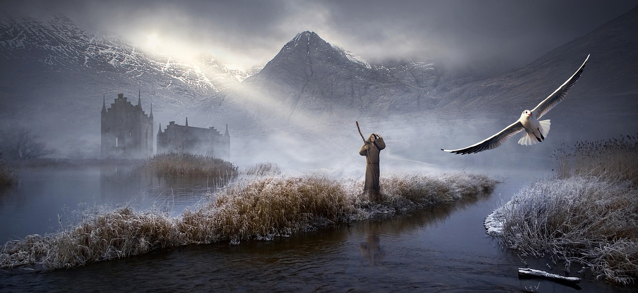 微观世界的奇妙工程,最新蚂蚁城堡探秘