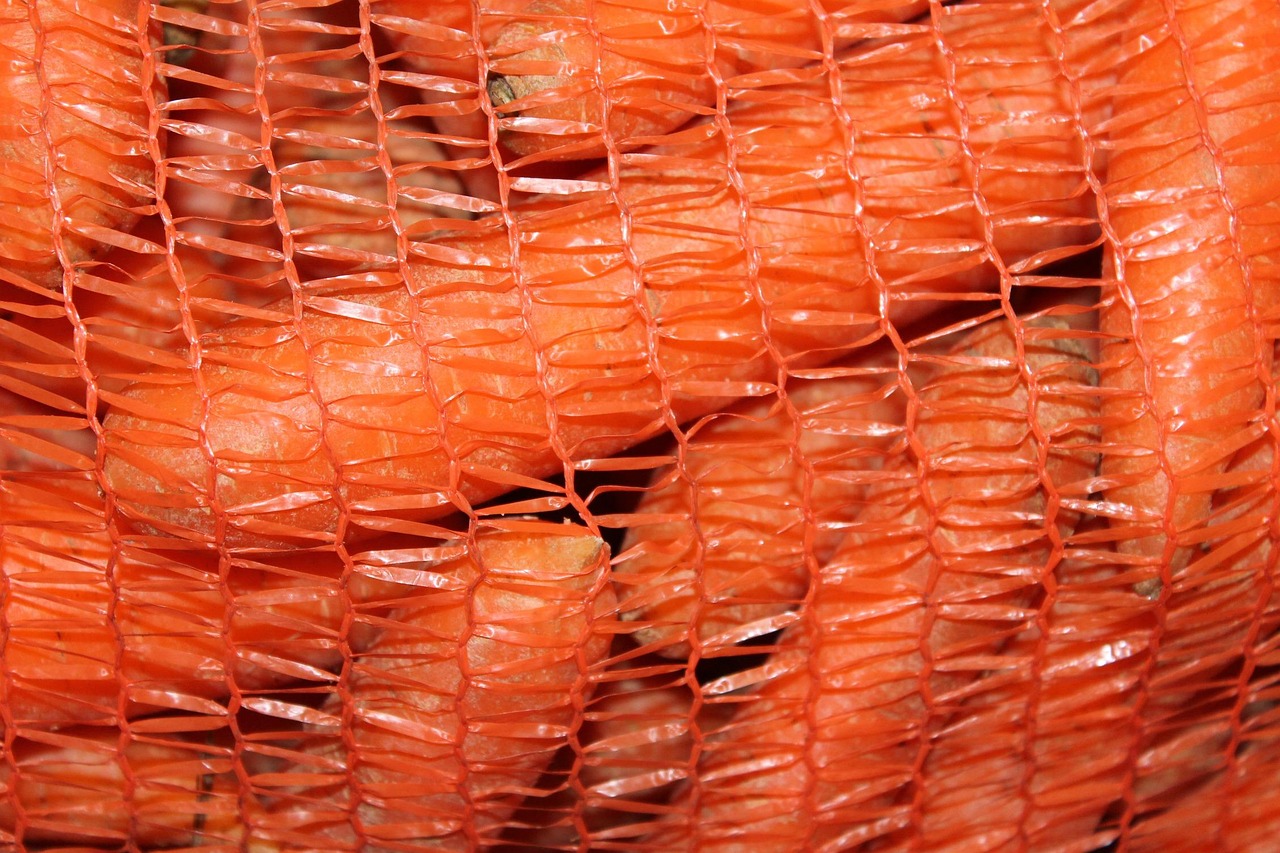 事业单位行政执法改革最新动态，探索与前瞻的进展报告