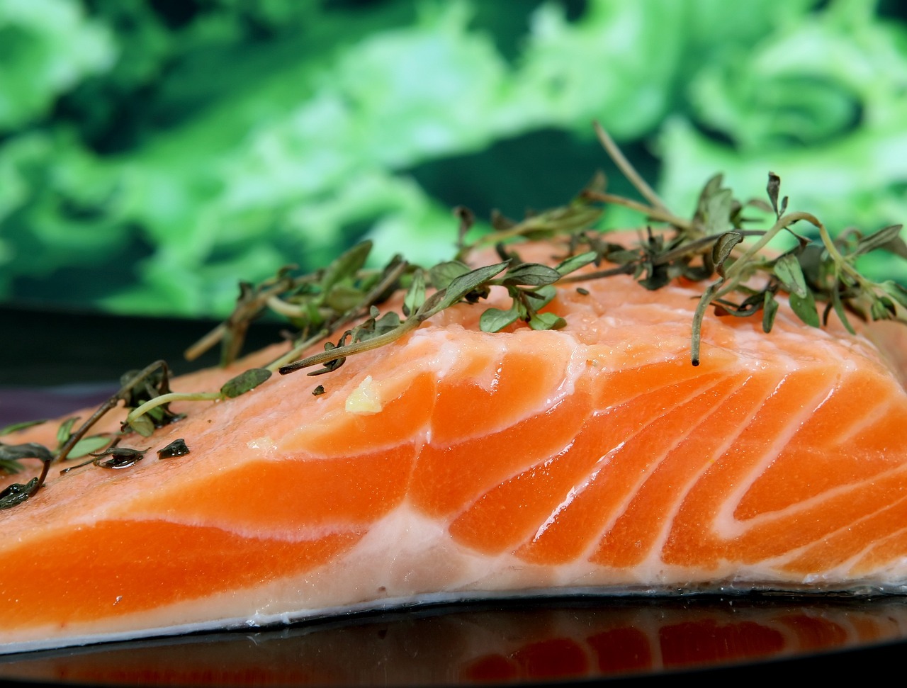 常德鱼价行情深度解析与预测