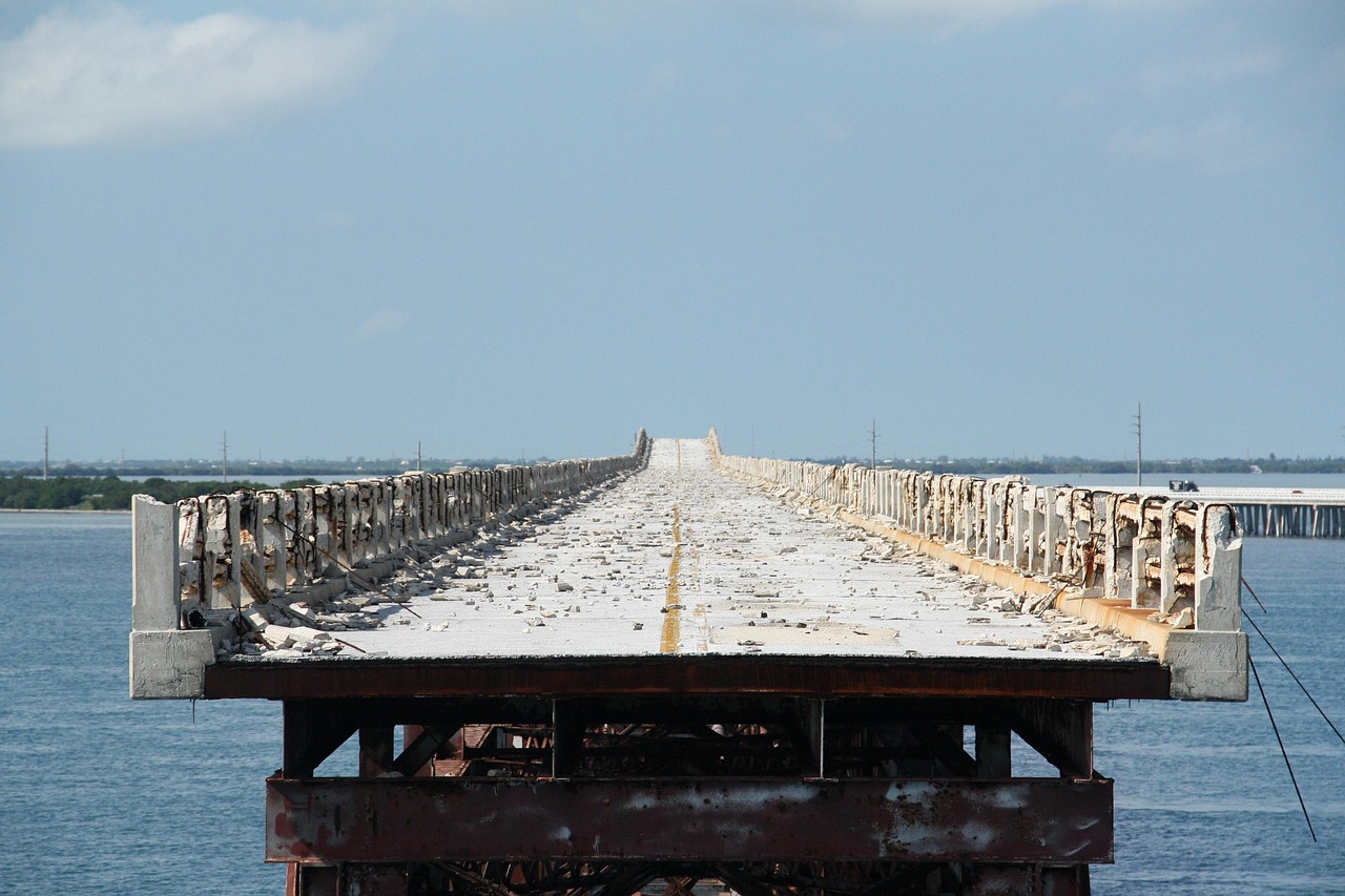 高考生新动态，探索未来之路的新趋势与策略