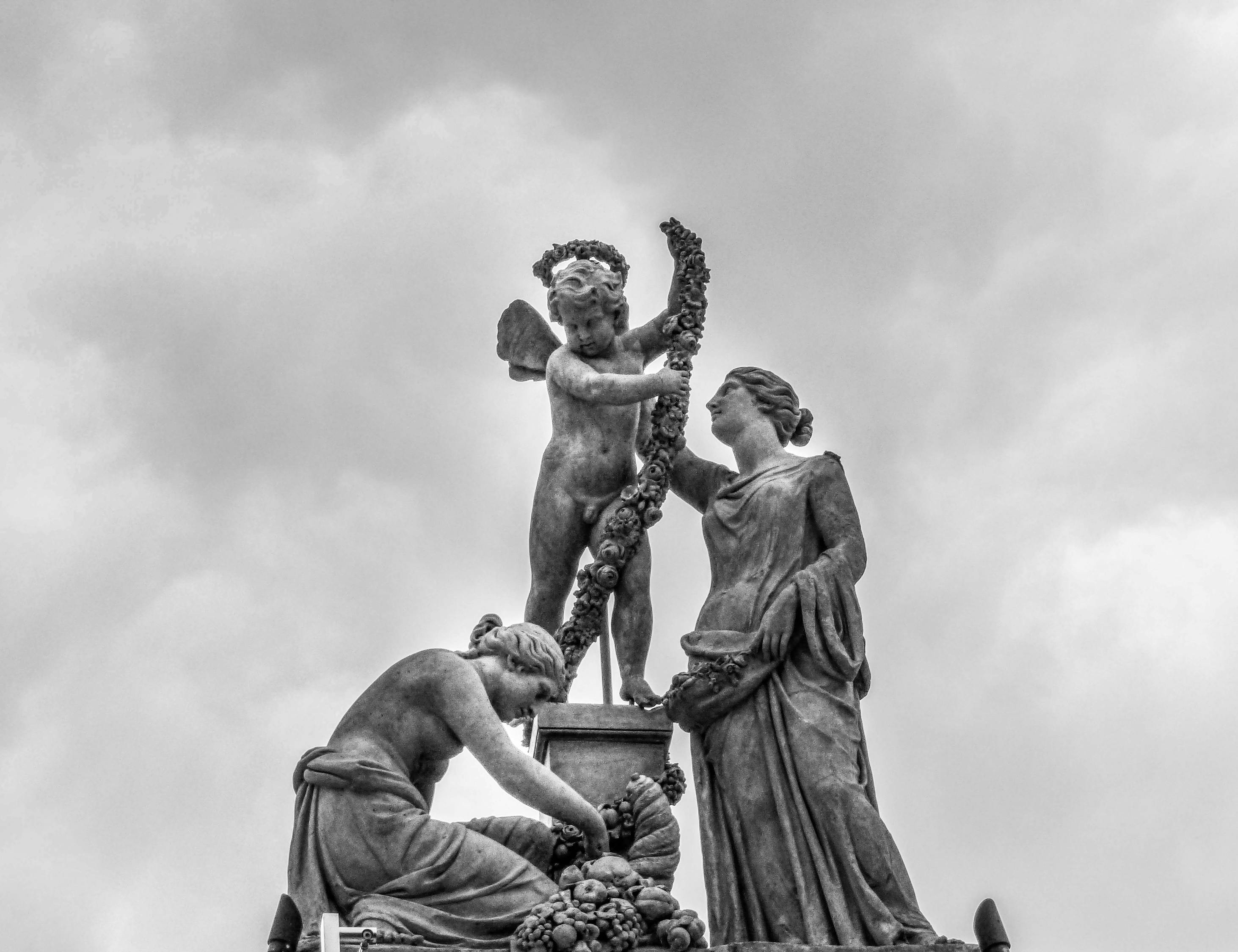 花开无言 第13页