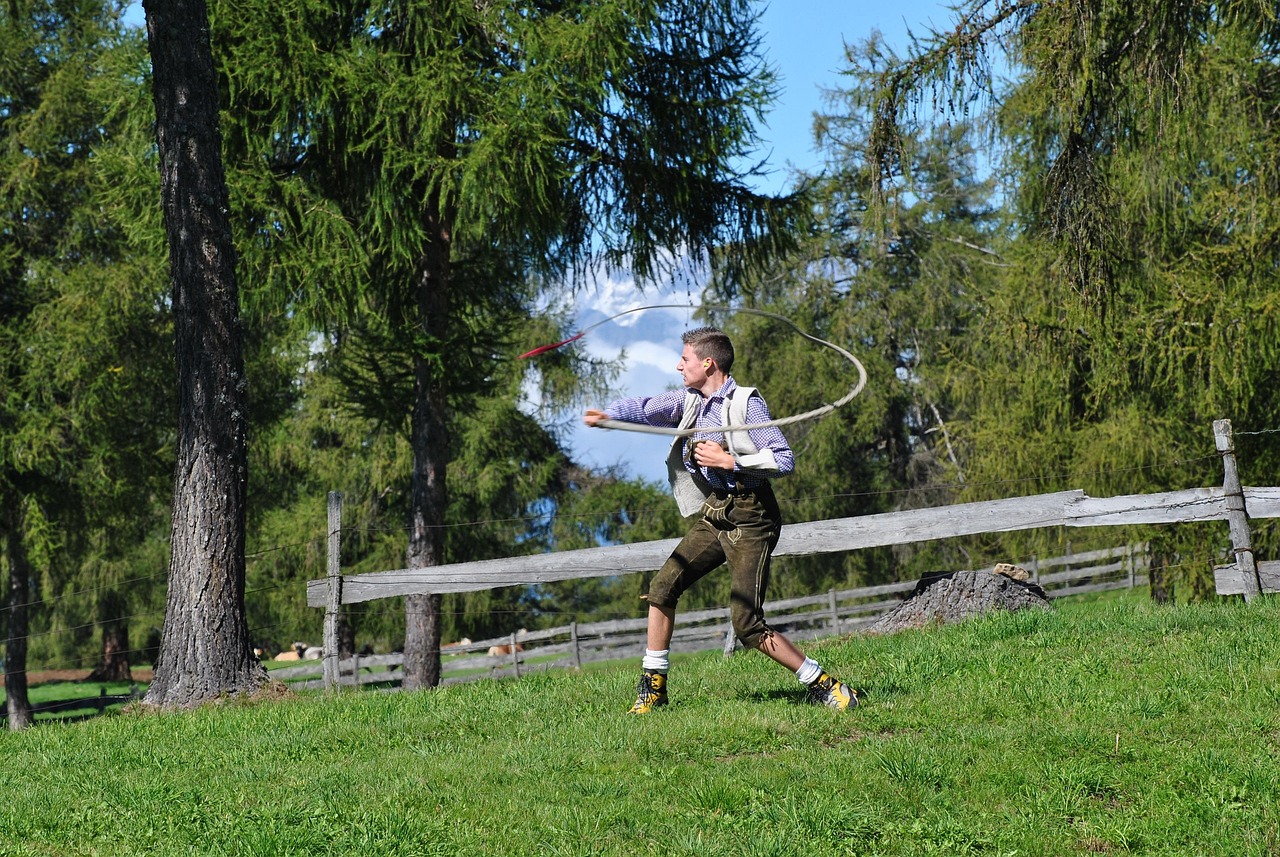 砀山马术比赛直播，速度与激情的盛宴开启