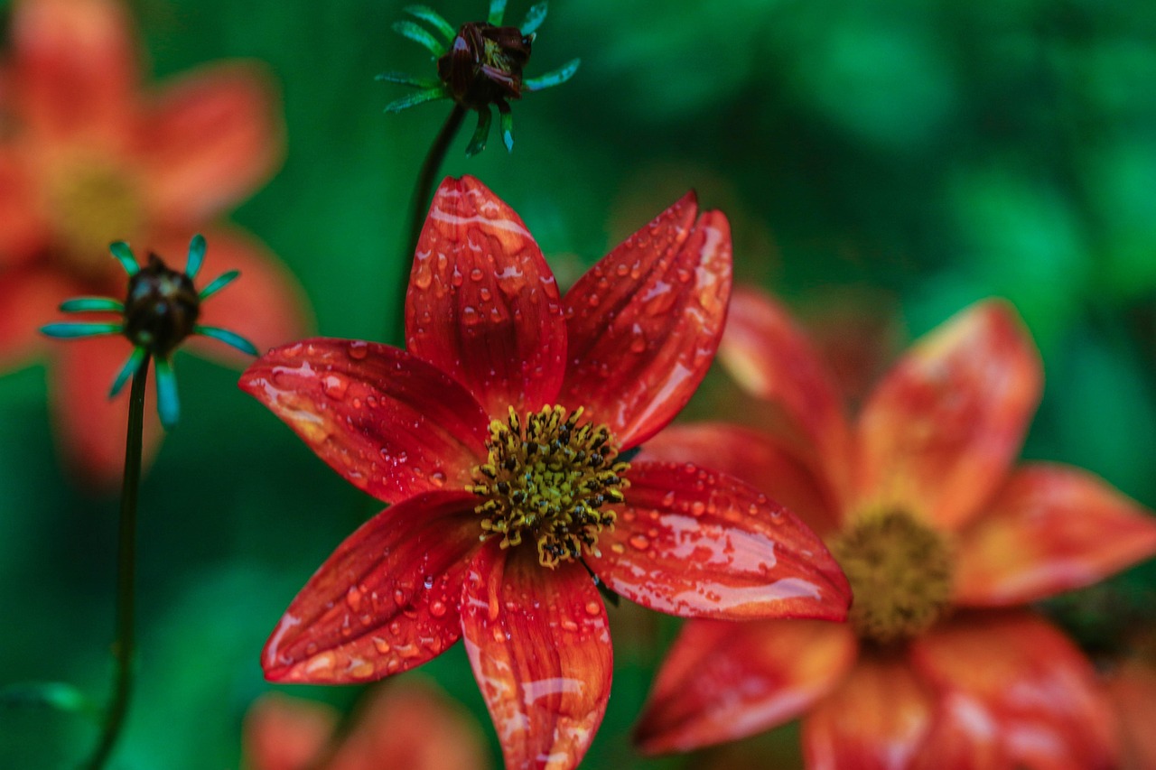 海口幸福家园最新动态揭秘，未来美好蓝图展望