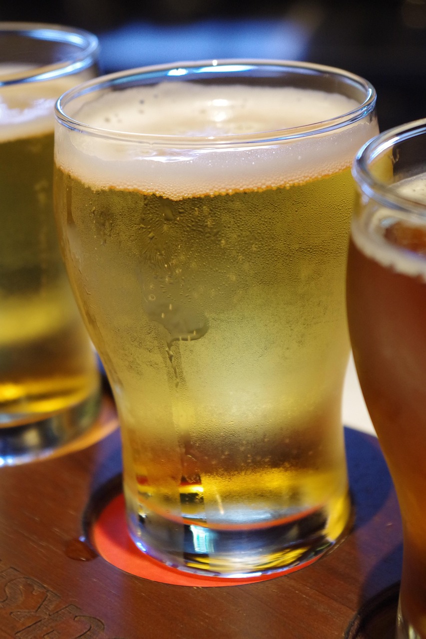 小雷与胡秀英的成长变迁,最新动态揭秘