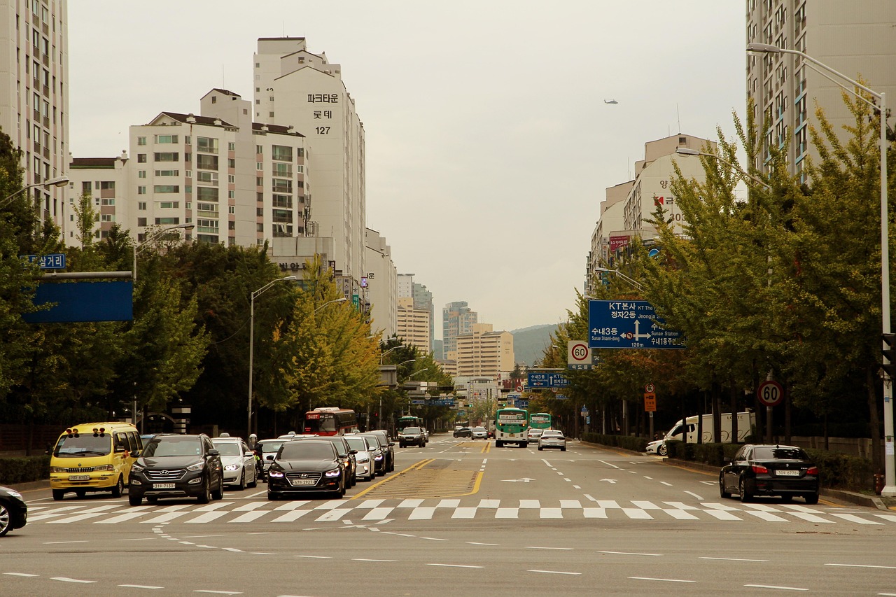 鄢陵贴吧最新动态，探寻城市生活的脉搏实时更新