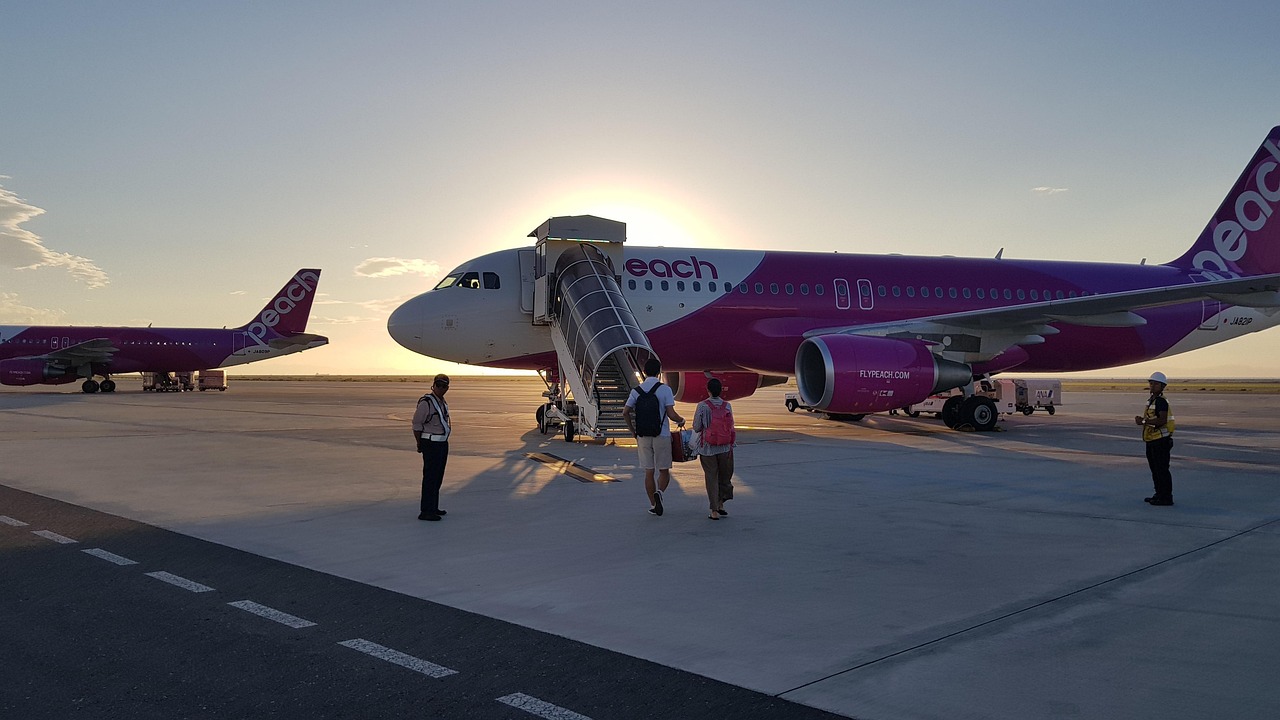 明星与机场,光芒交织的日常