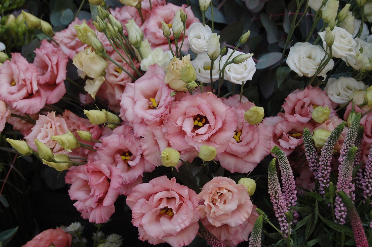 一叶十三刺 第12页