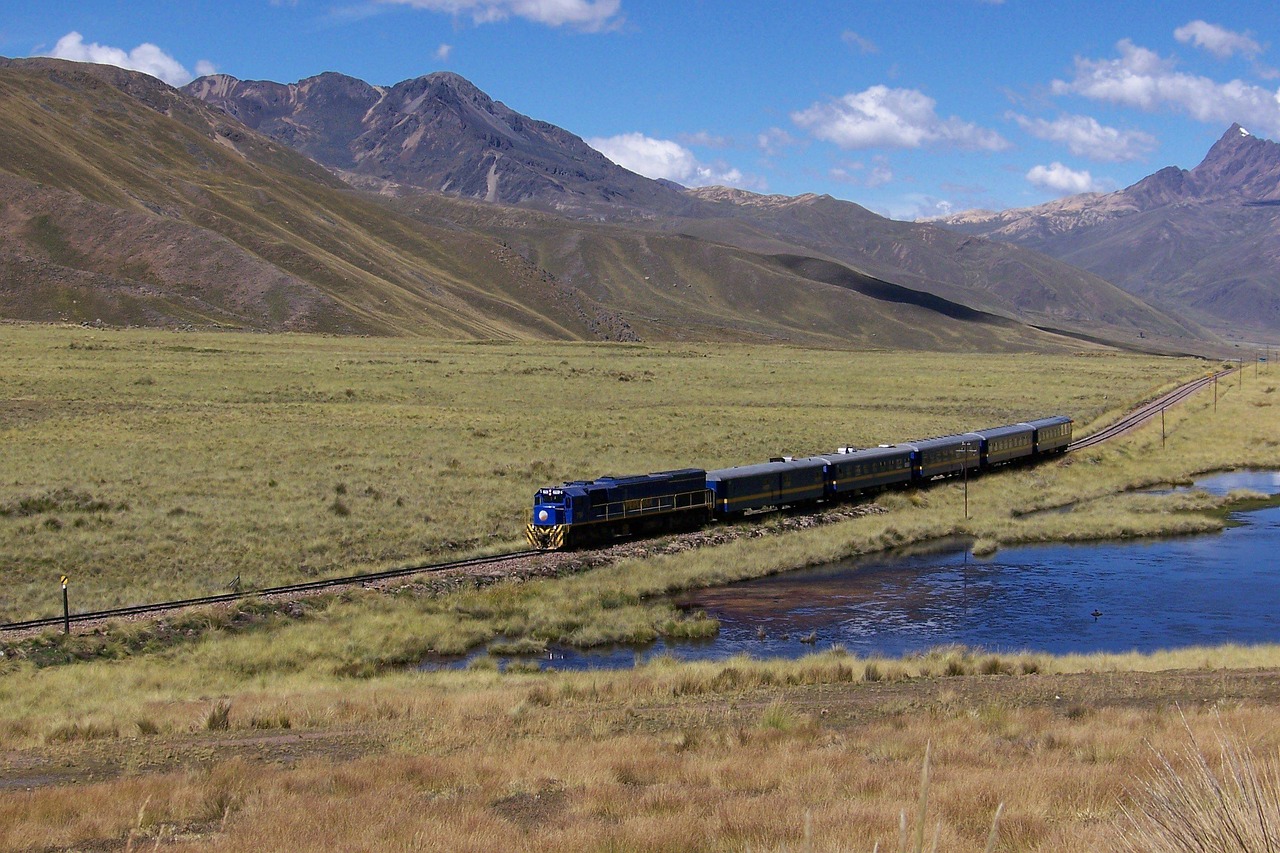 今年高考最新动态，变革与机遇交织并行发展之路分析