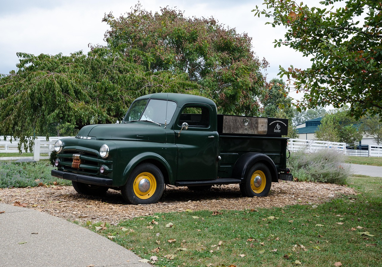 印度经济动态，繁荣与挑战并存