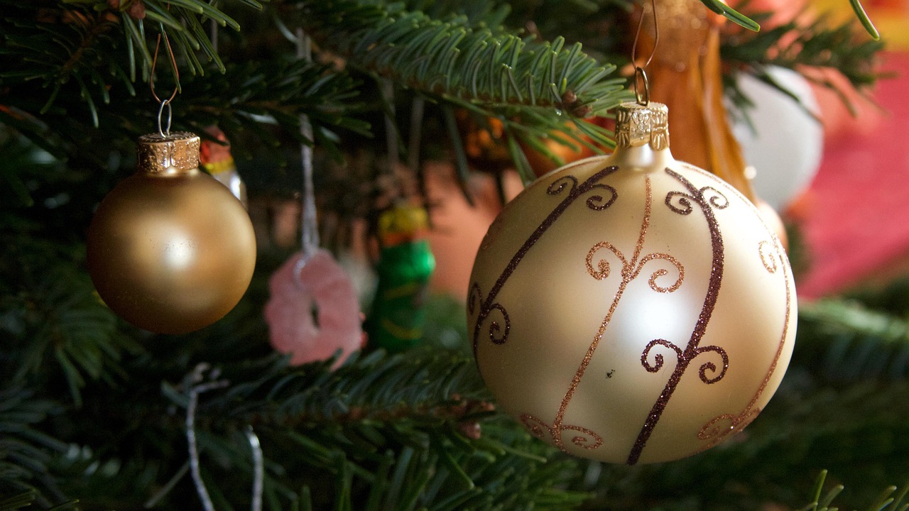 滨河上智家园最新动态更新