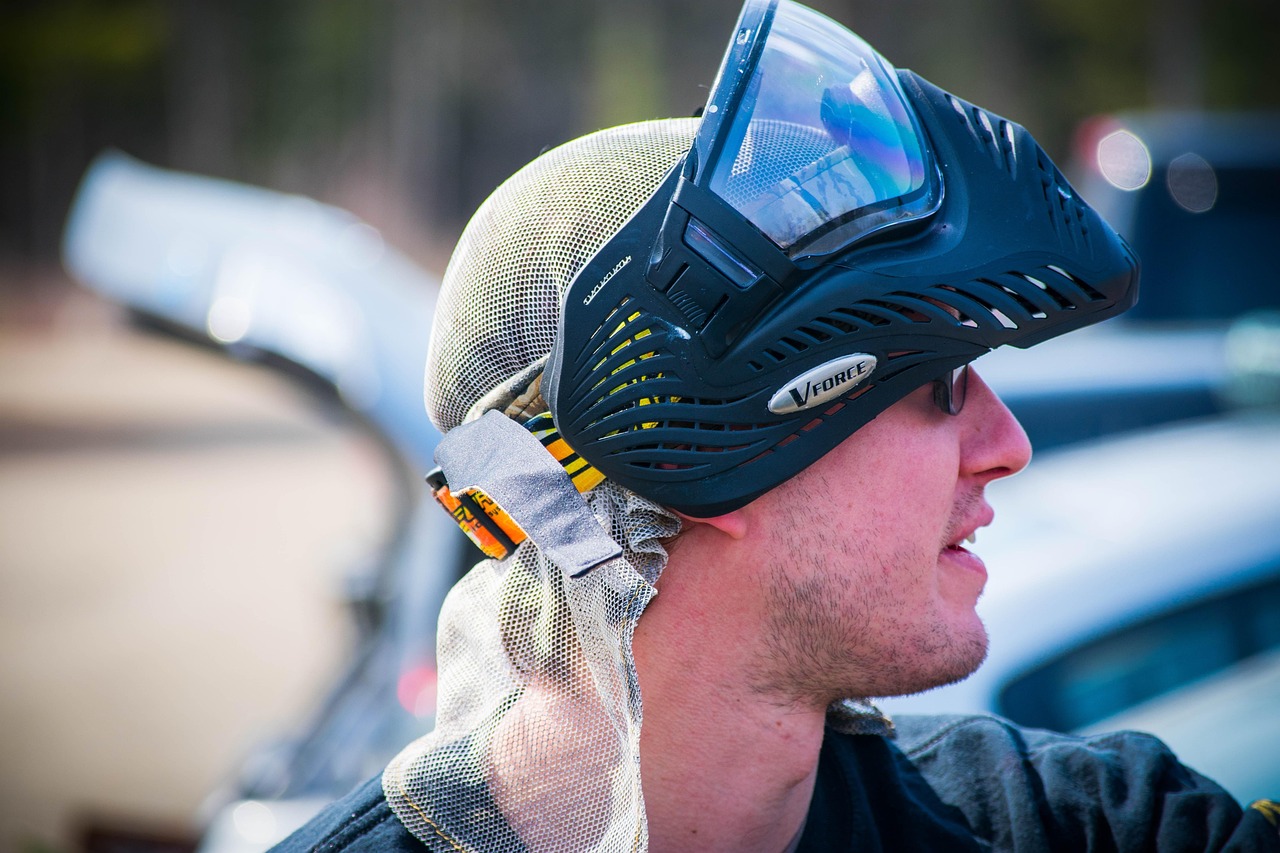 绿岛最新动态，发展与保护的和谐共舞