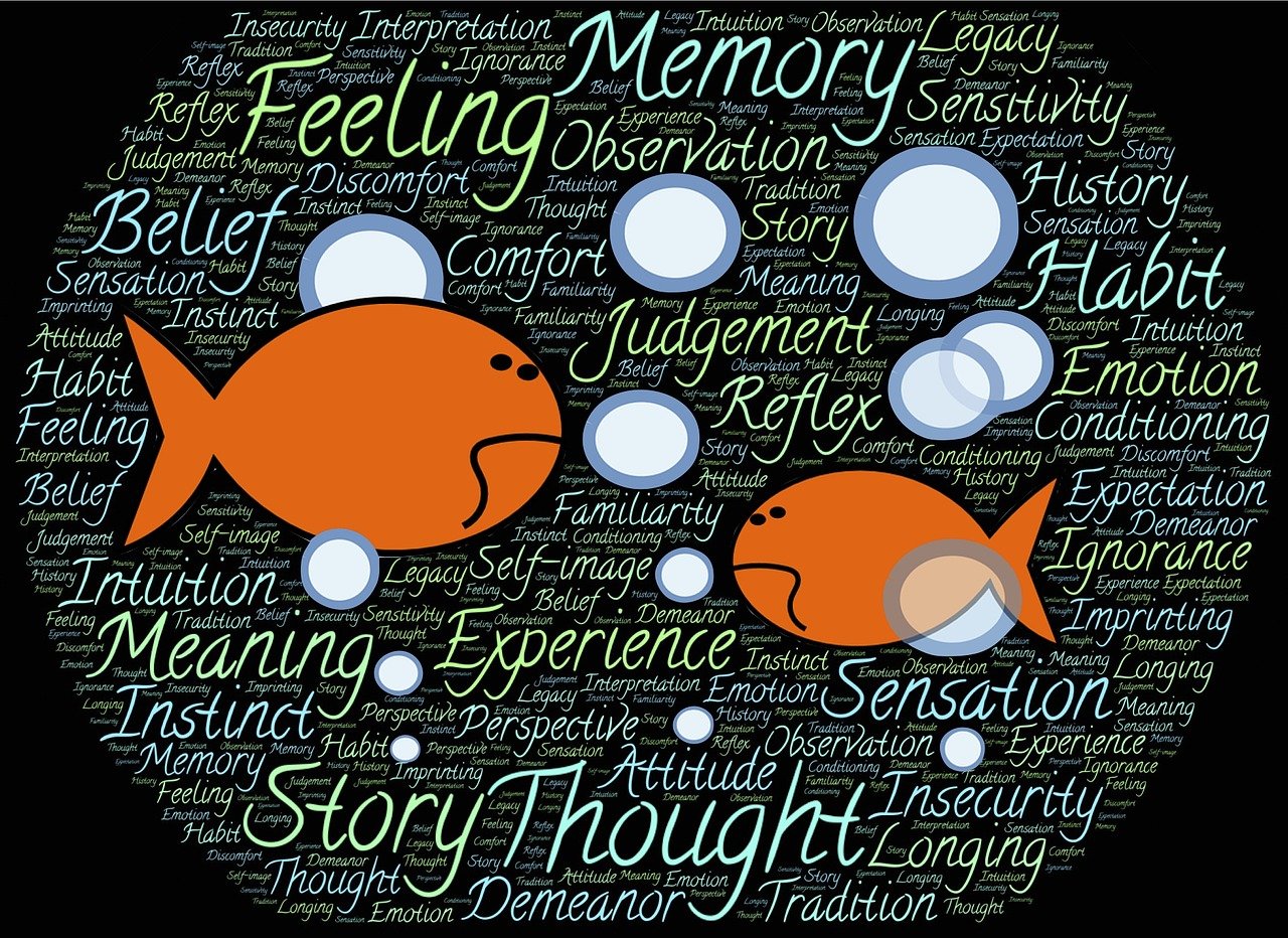 正阳最新气象，探索气象变化与环境保护的紧密关联