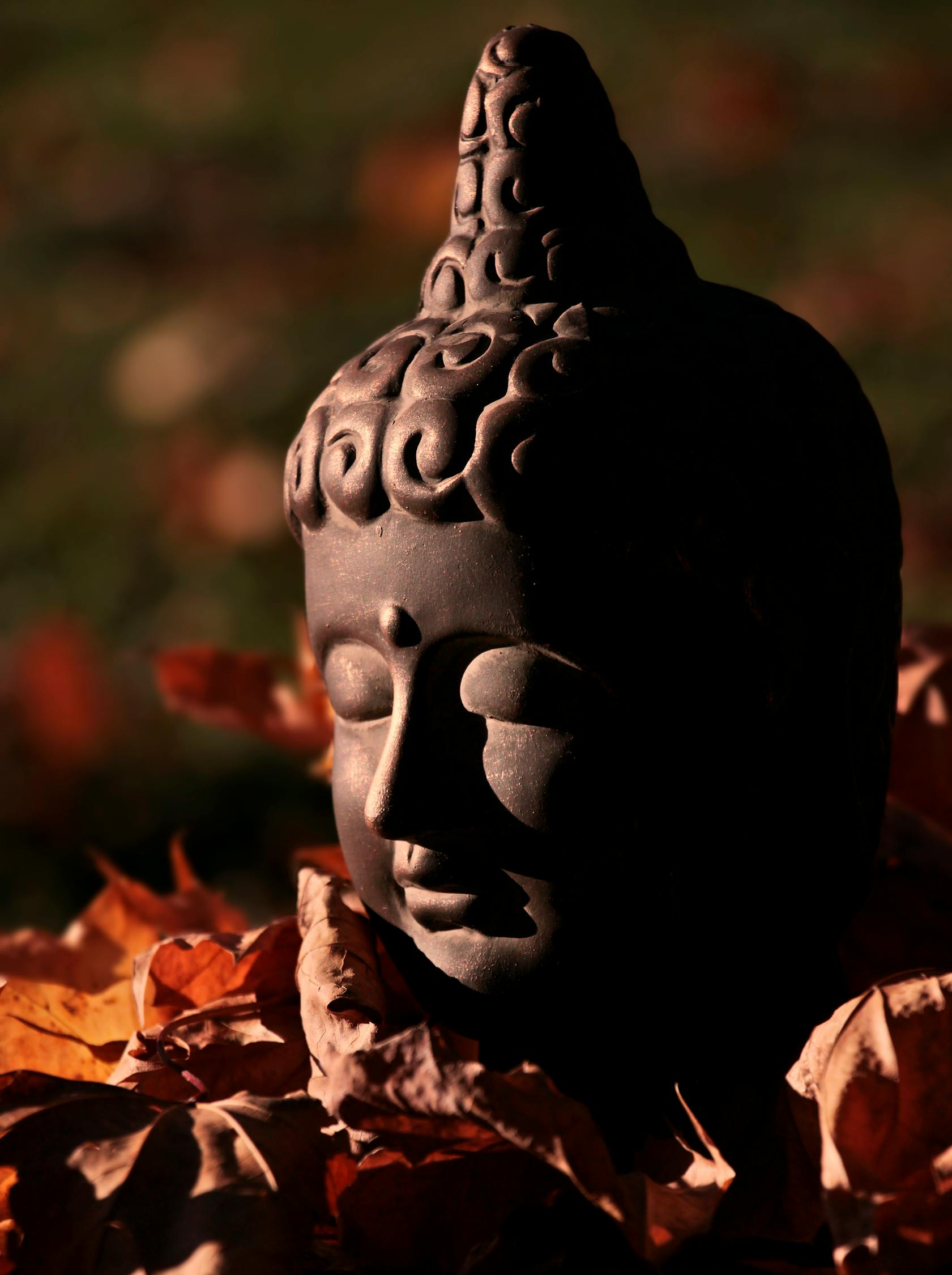 叶落长安演员塑造经典角色的演技魅力