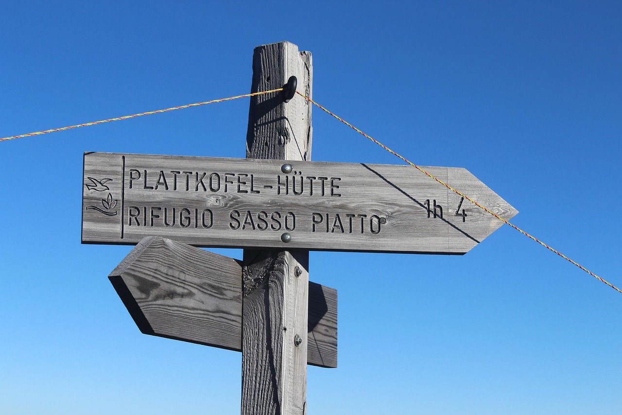 博济医药股票行情分析与展望，最新动态及未来趋势探讨