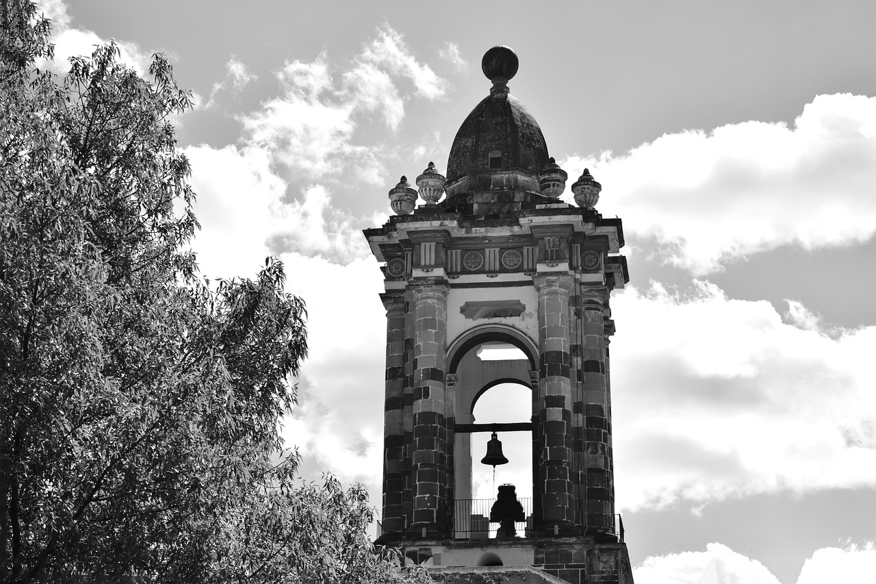 新沂市二手房市场最新动态及出售信息概览