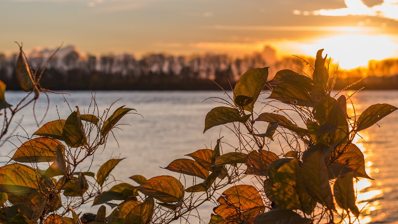 繁荣港口城市，最新资讯与发展动态