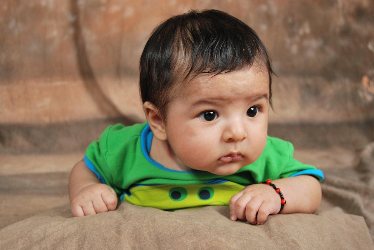 日照五莲最新资讯概览，最新动态与资讯一览无余