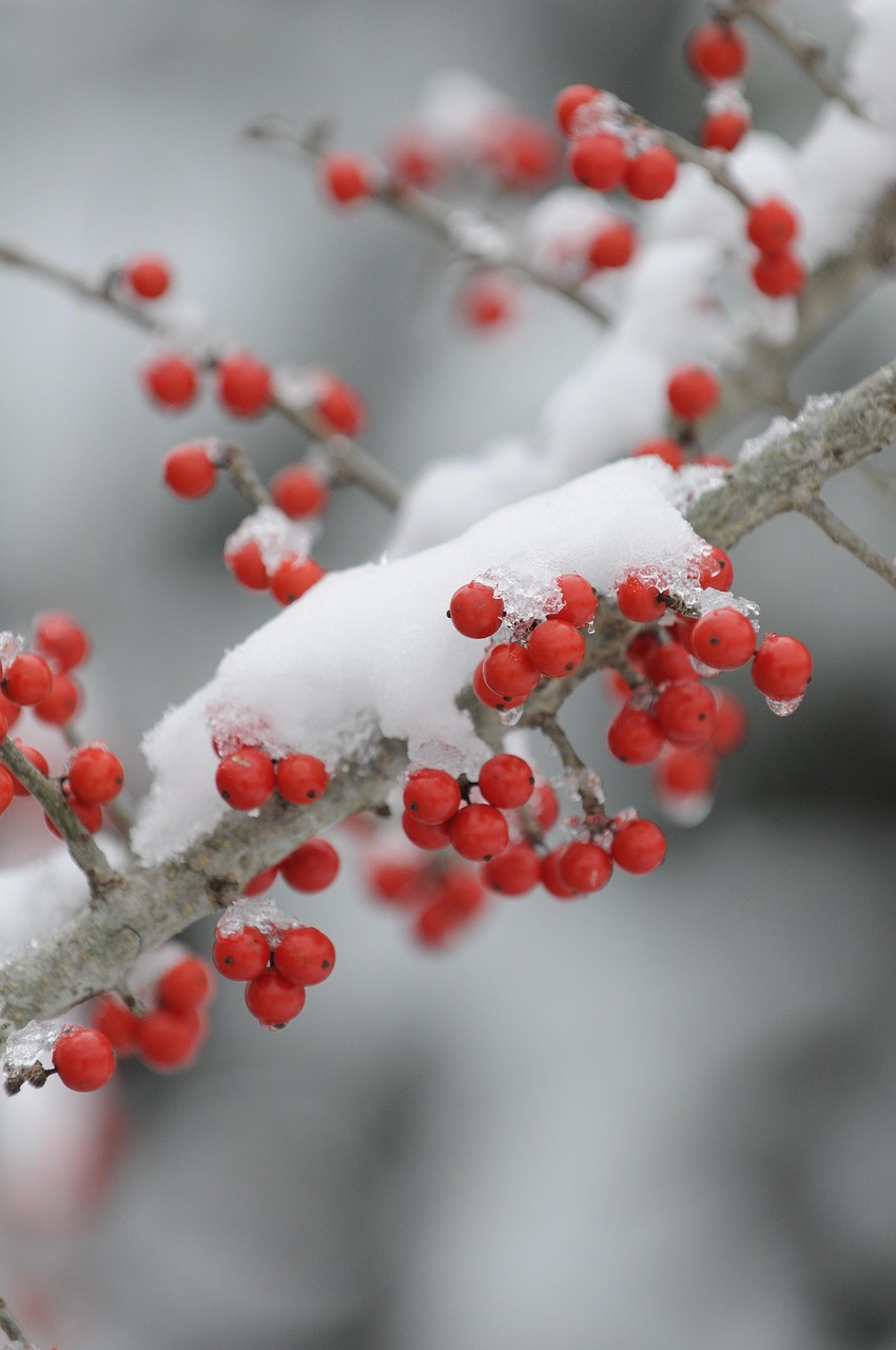 星星打烊 第8页