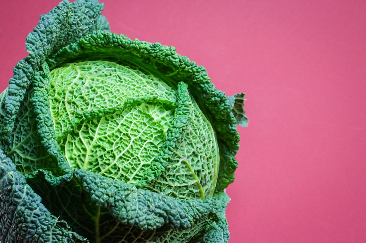 国际油价动态更新，波动因素解析与市场走势预测