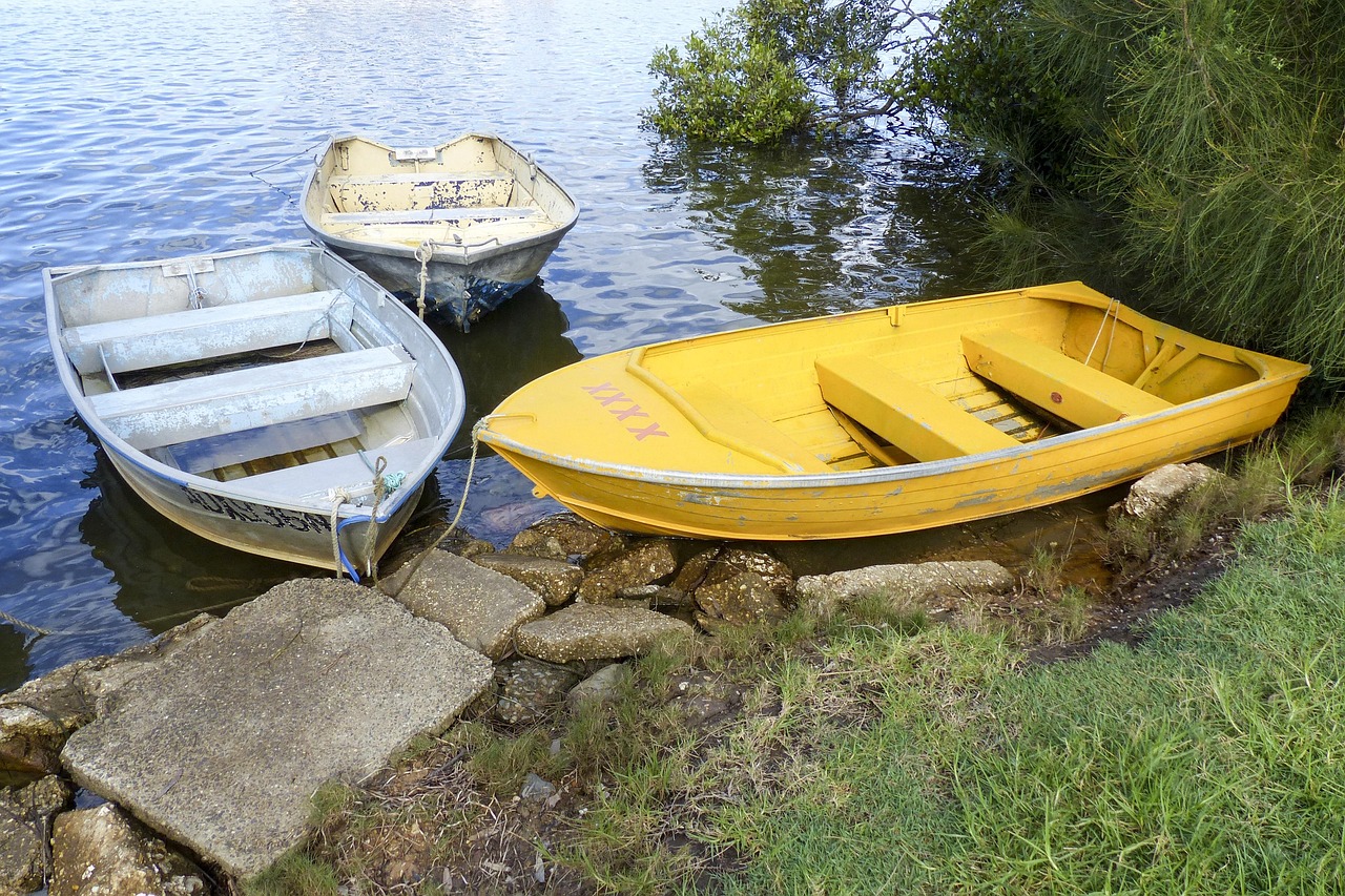 自贡小井沟水库最新动态揭秘，探索与发现之旅