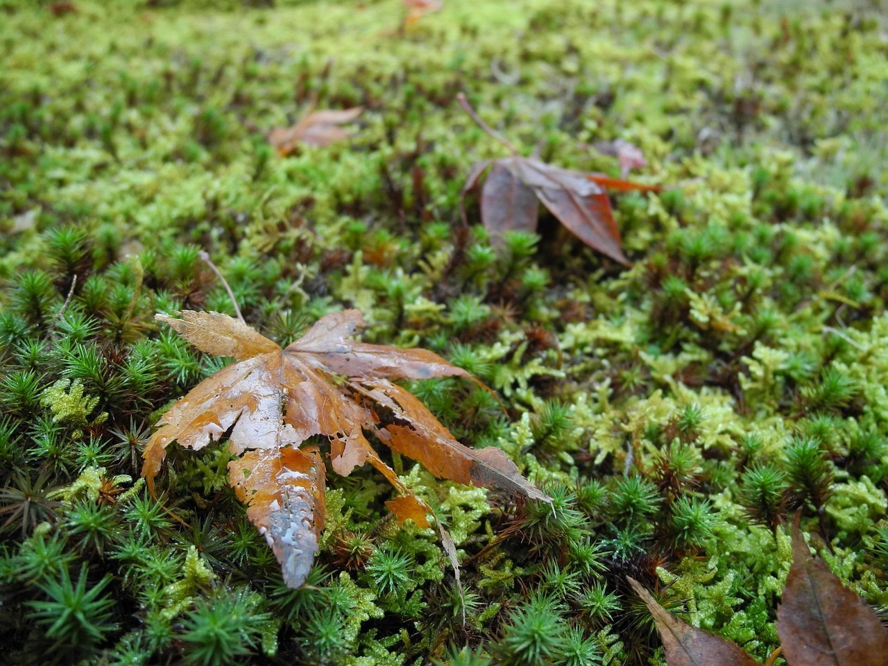 燕郊新闻速递，区域发展动态与社会热点深度聚焦
