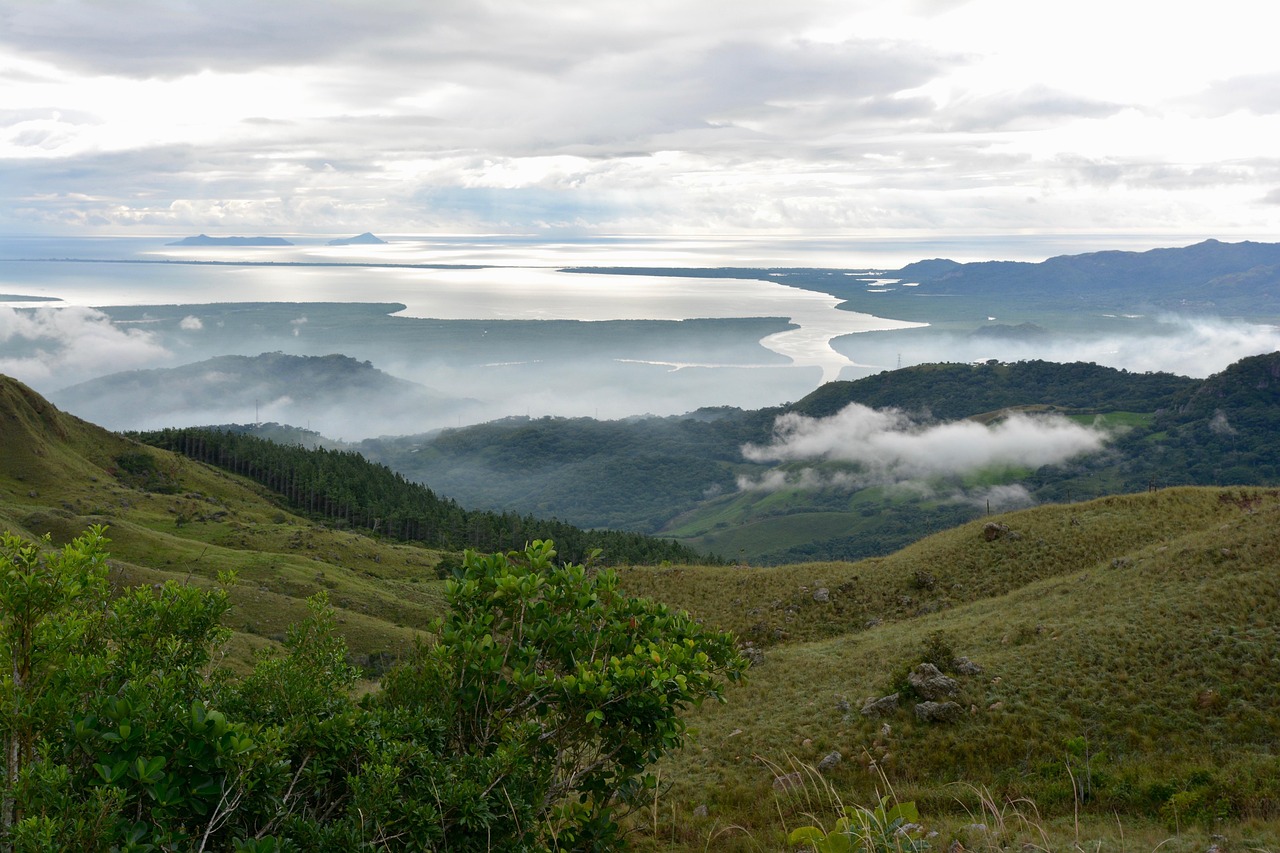 新闻纸最新报价与市场动态分析概览