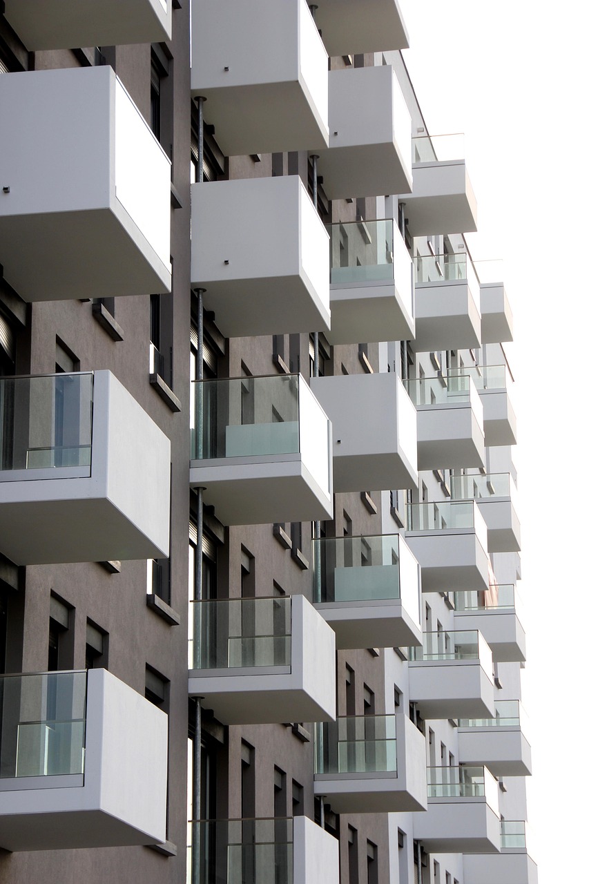 新机场高速建设进展、最新动态与未来展望